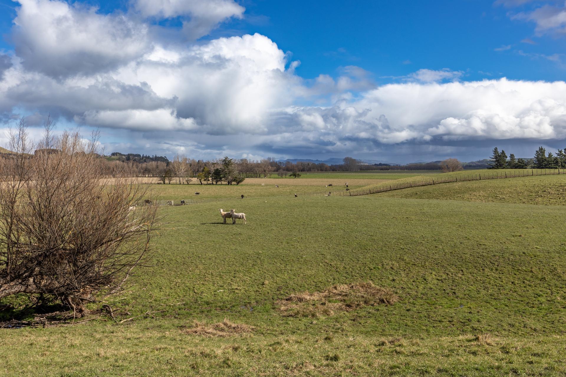222 Tapairu Road, Waipawa