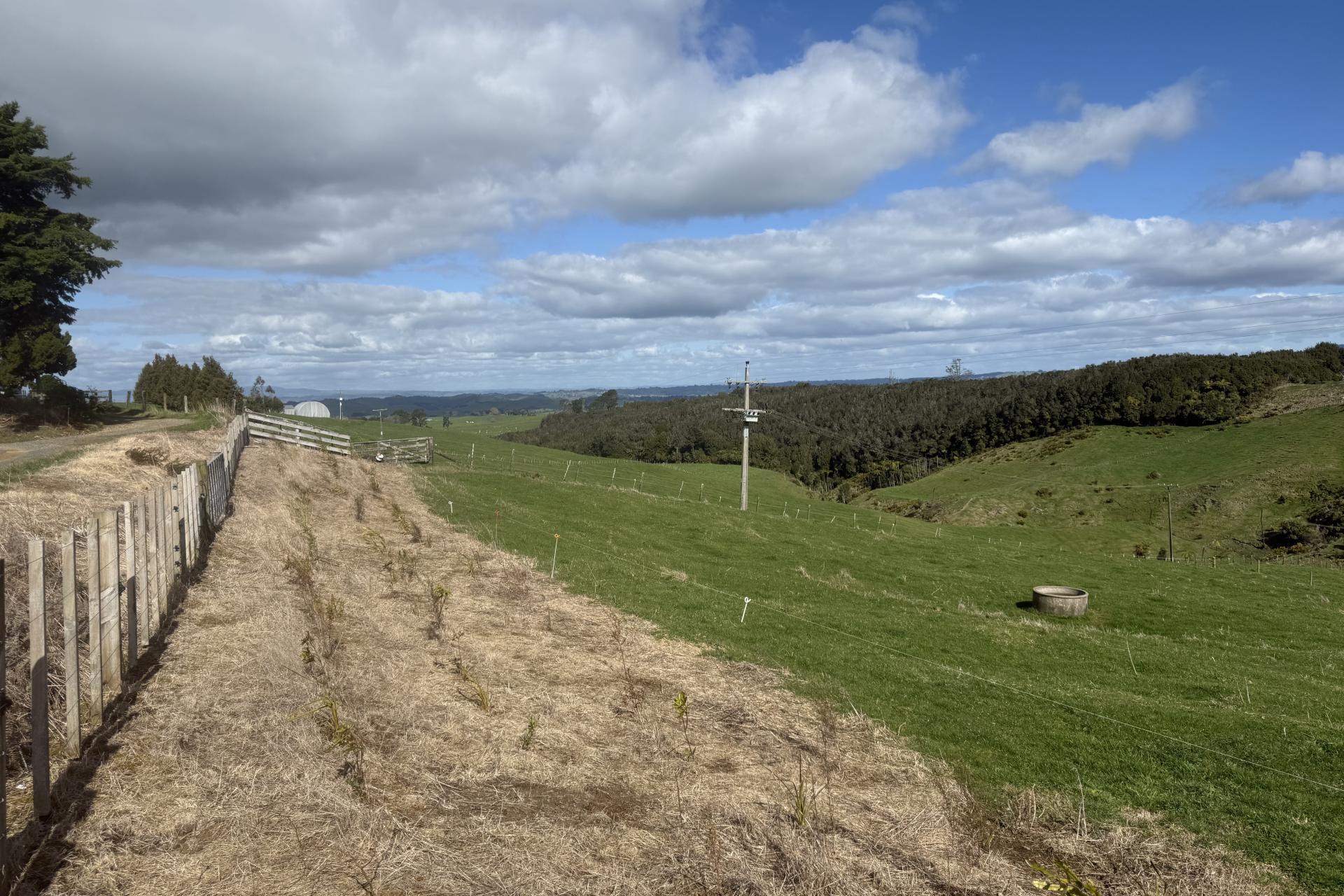 Mangati Road, Puketotara
