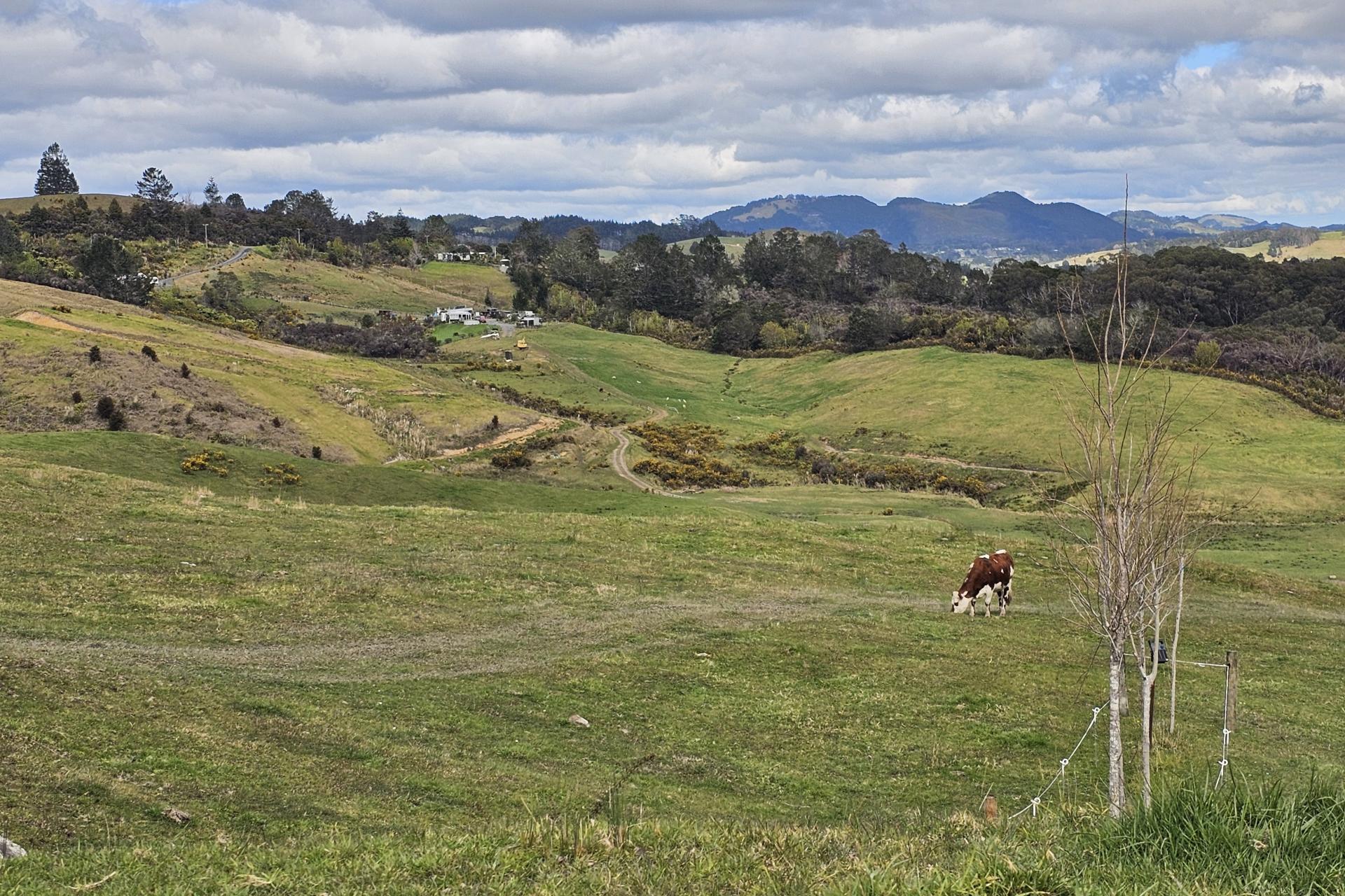 113C Marua Road, Hikurangi