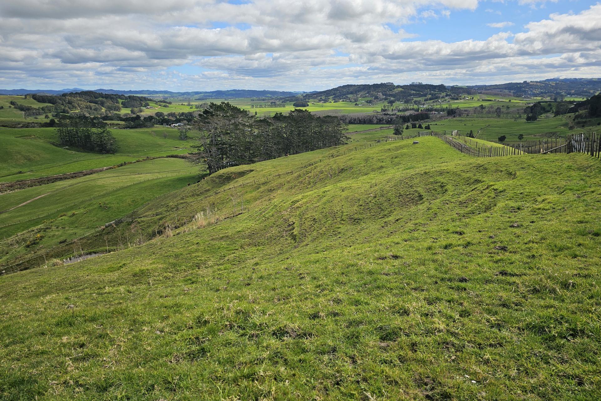 113C Marua Road, Hikurangi