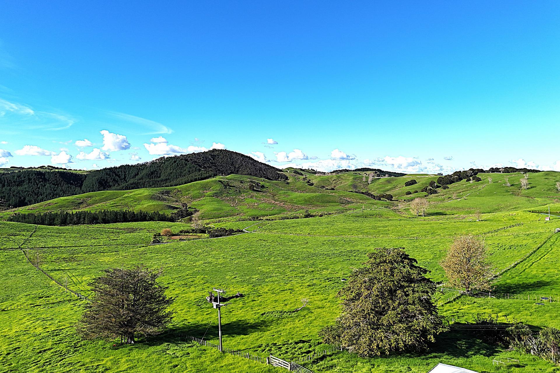 Lot 3 258 Greenhill Road, Ruawai
