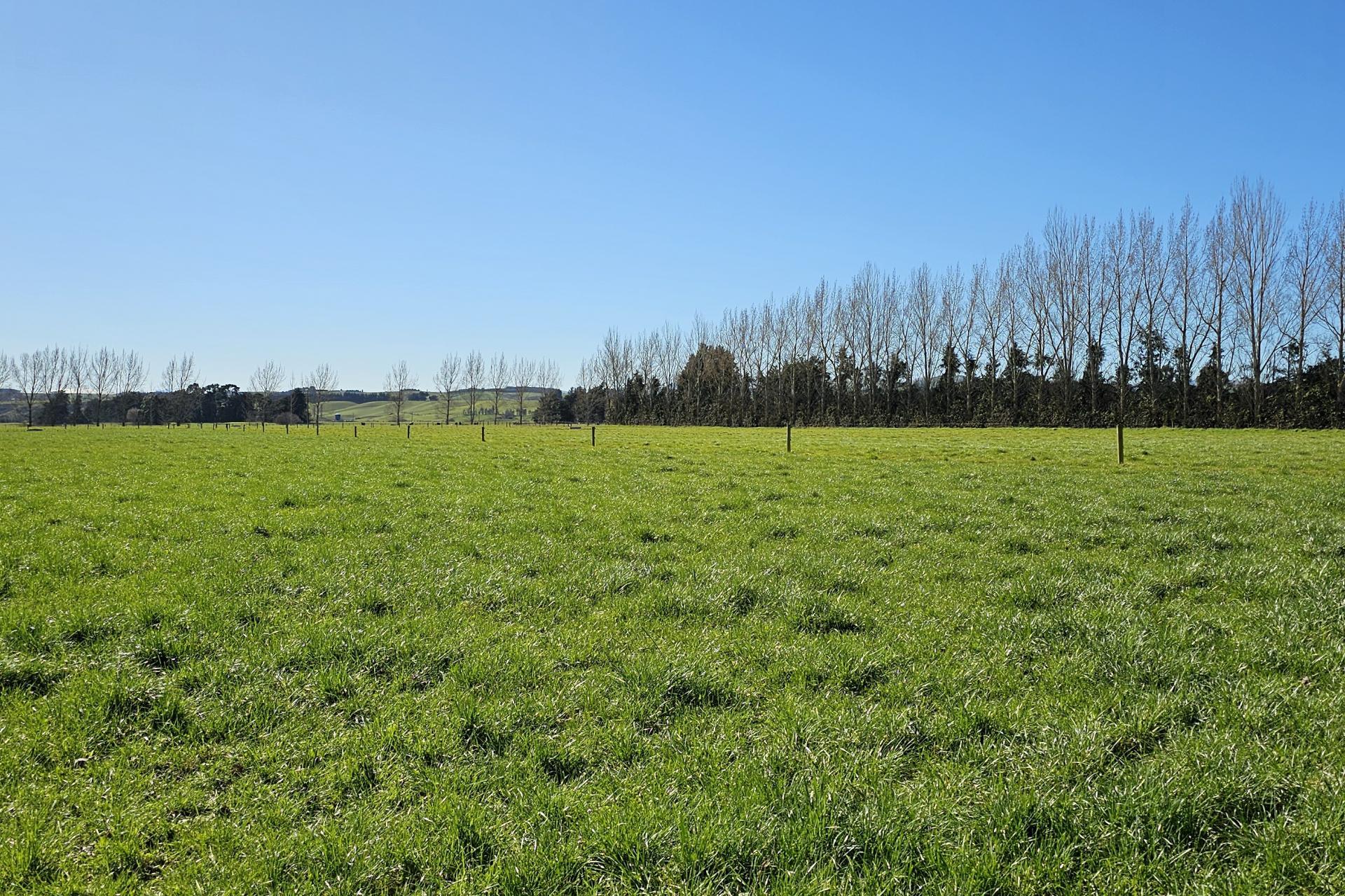 268 McBain Road, Otama