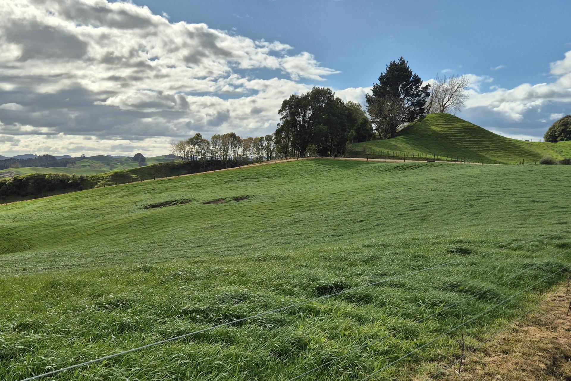 66 Pahihi Road, Tirau