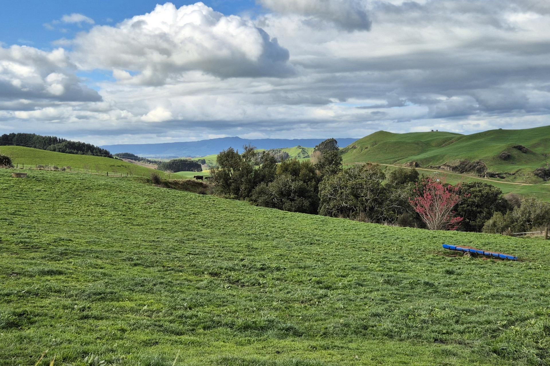 66 Pahihi Road, Tirau