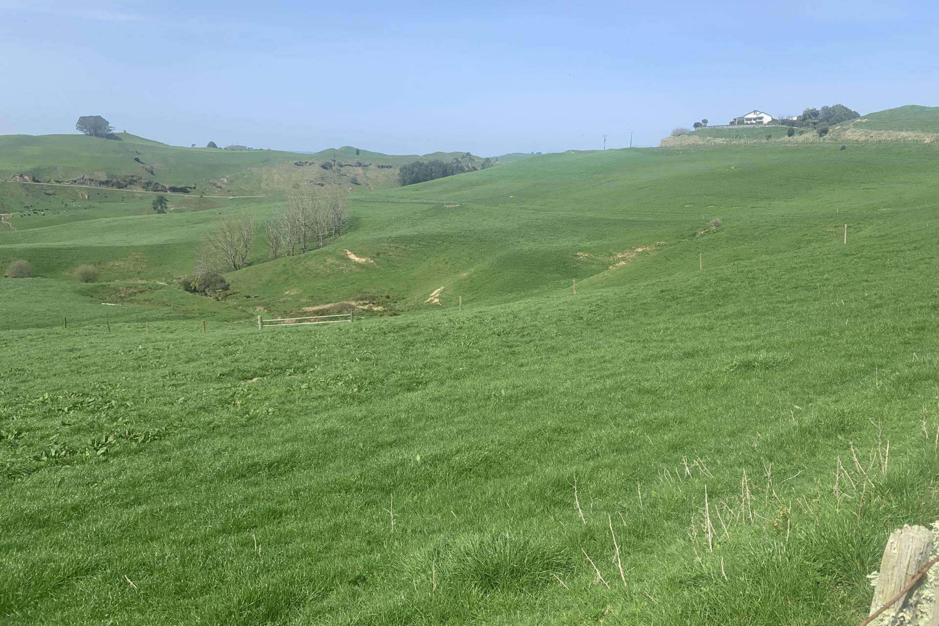 66 Pahihi Road, Tirau