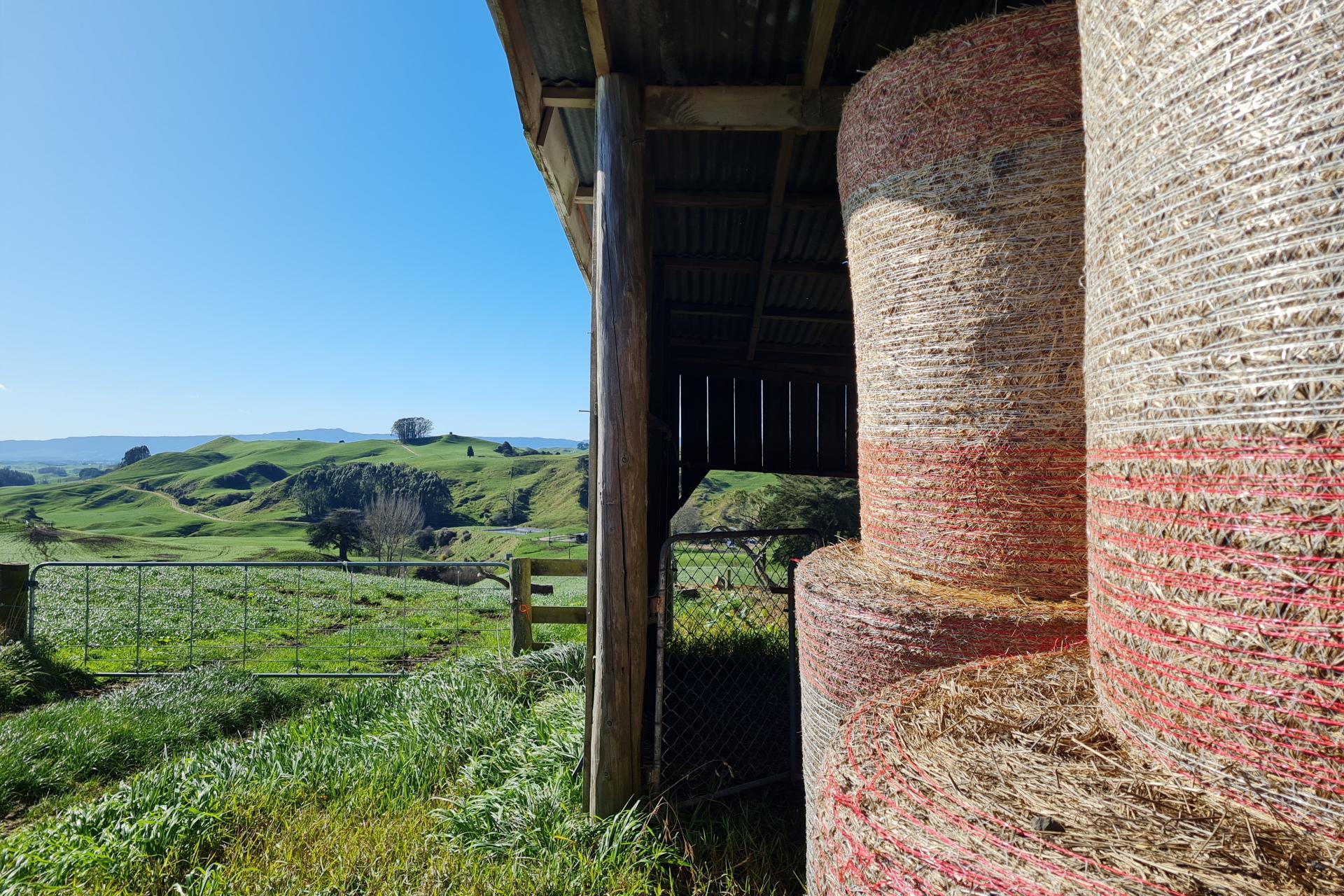 66 Pahihi Road, Tirau