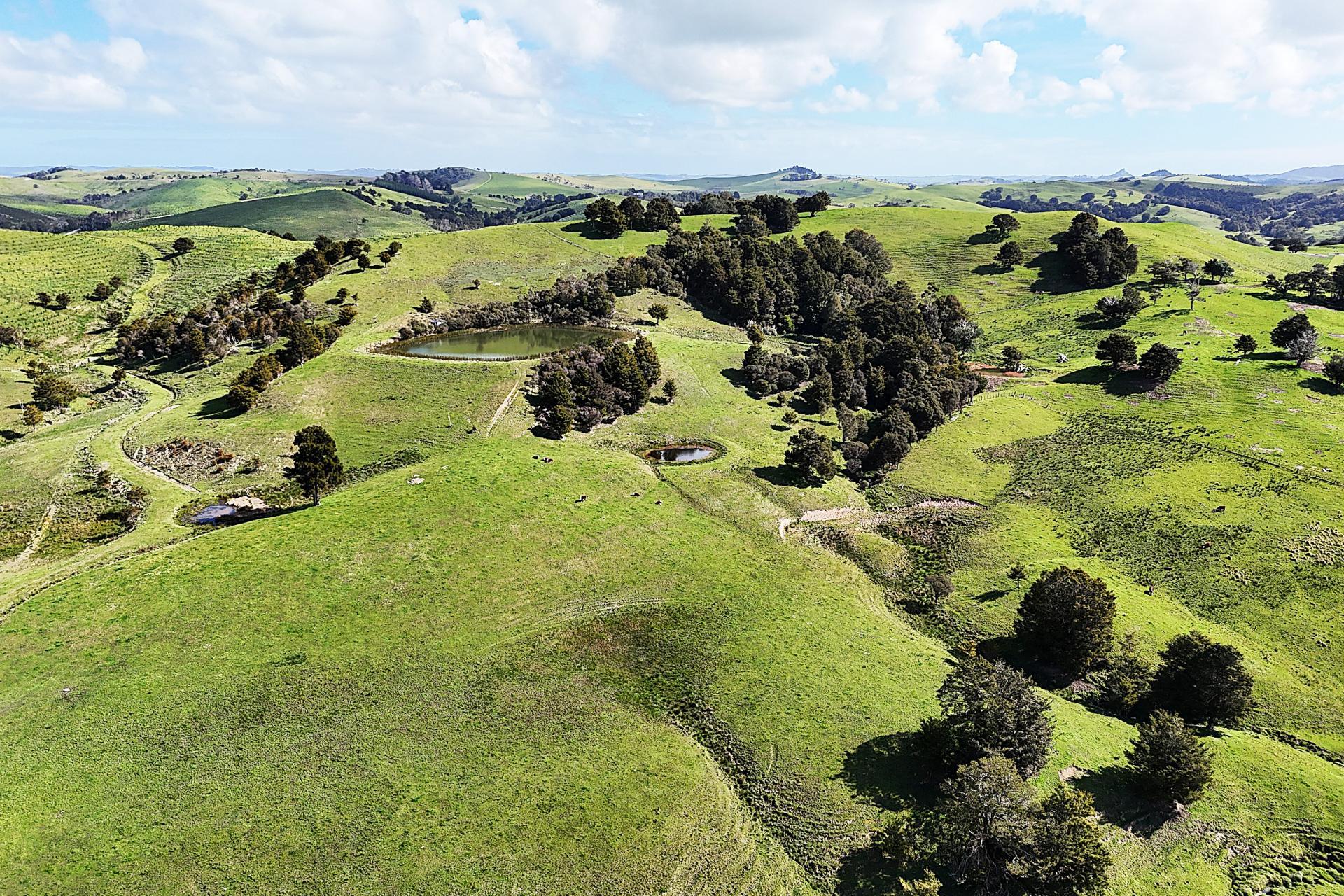 435 Parahi Road, Ruawai