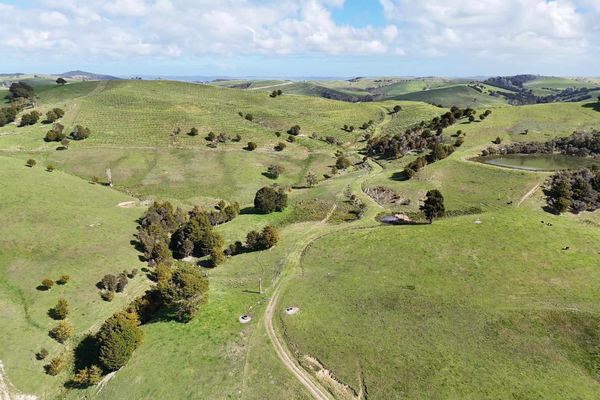 435 Parahi Road, Ruawai