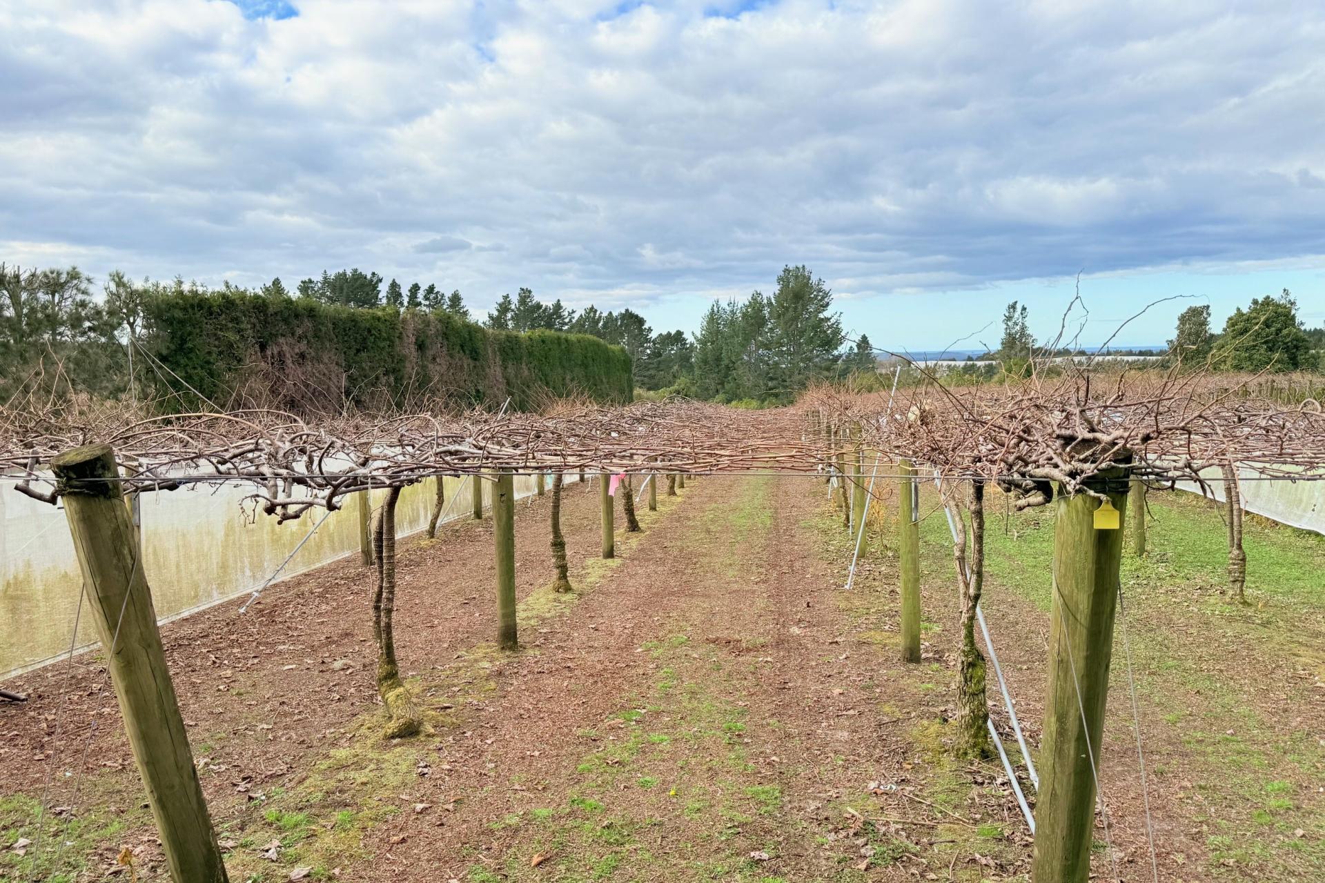 881B Te Matai Road, Te Puke