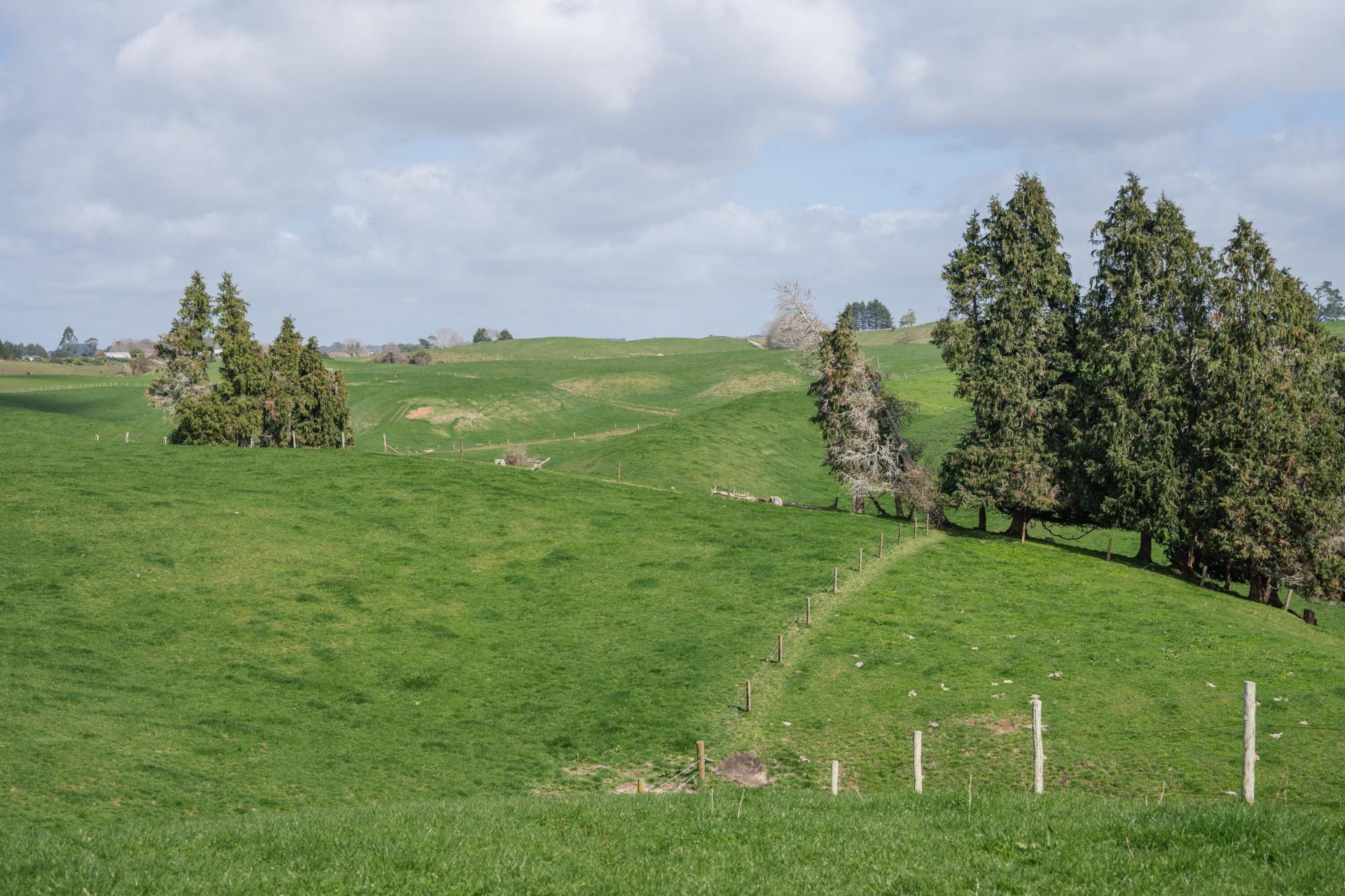 753 Pongakawa Bush Road, Pongakawa