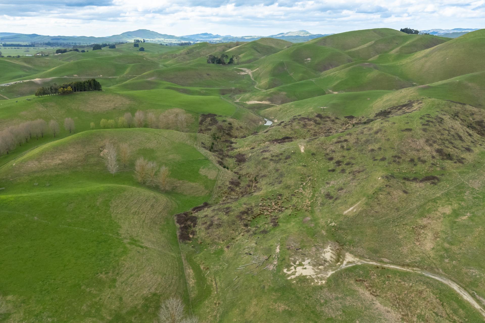 209 Pourerere Road, Waipawa
