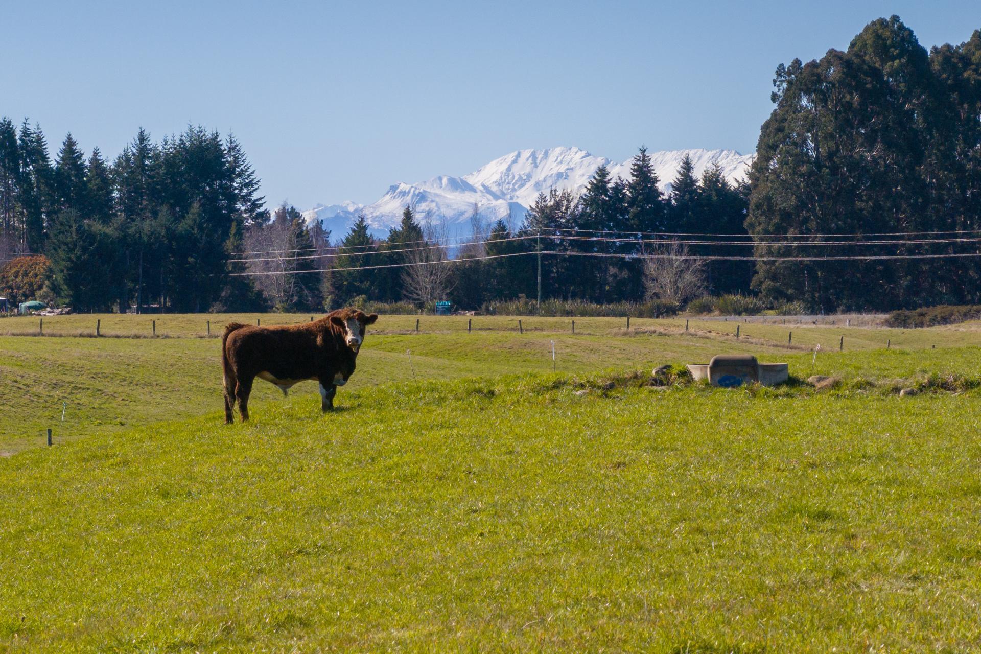 66 Forest Burn Lane, Te Anau