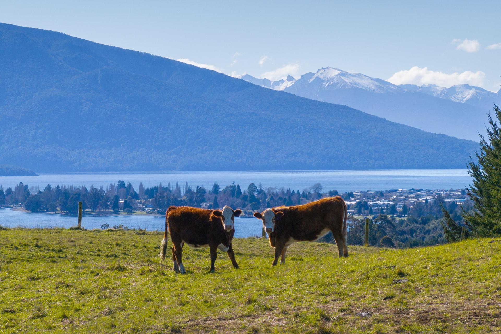 66 Forest Burn Lane, Te Anau