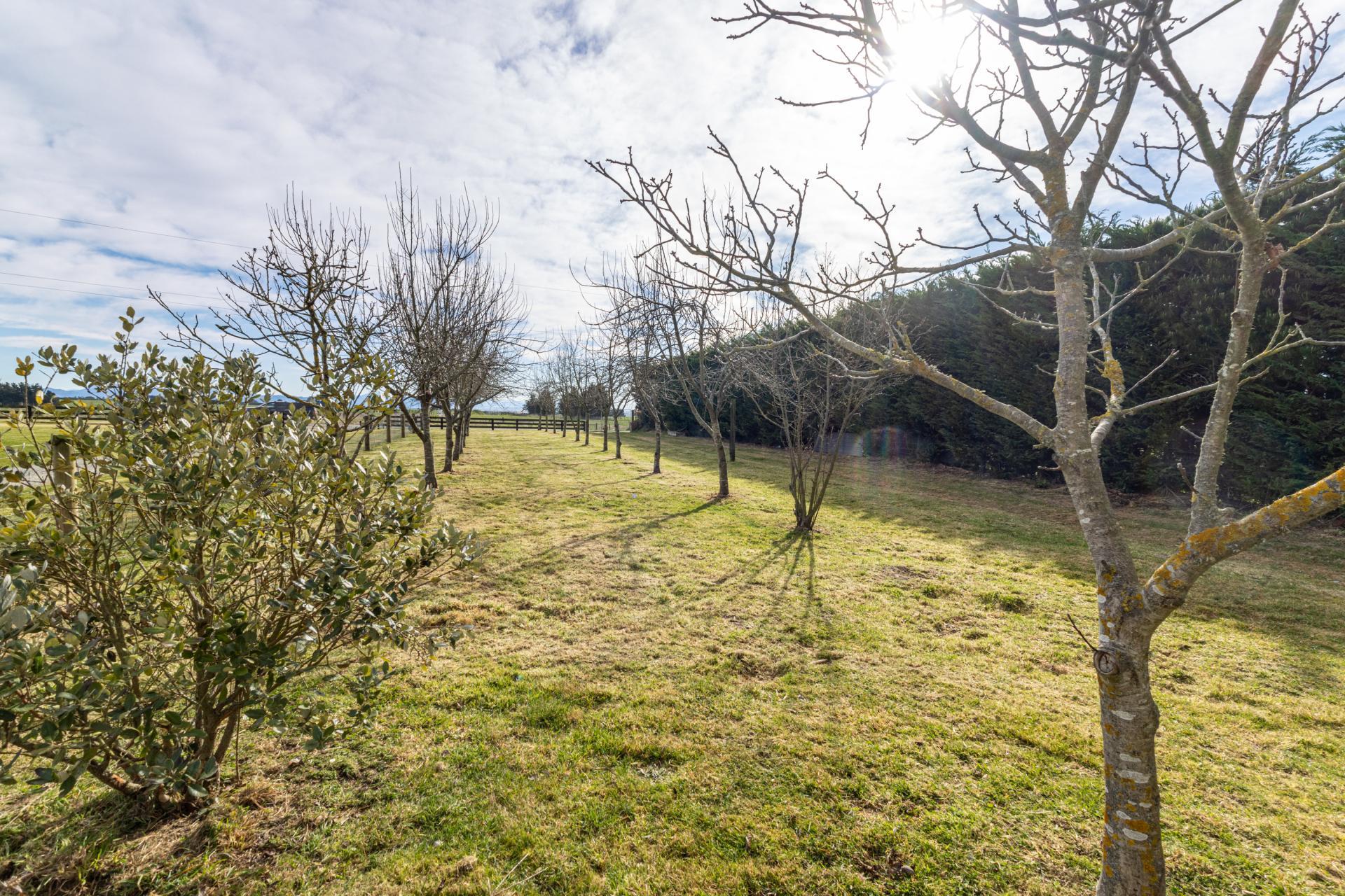 365 Fraser Road, Rosewill