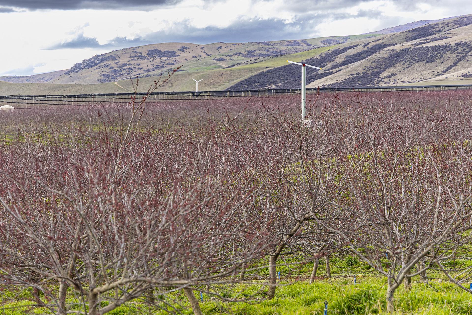 159 Thomson Gorge Road, Bendigo