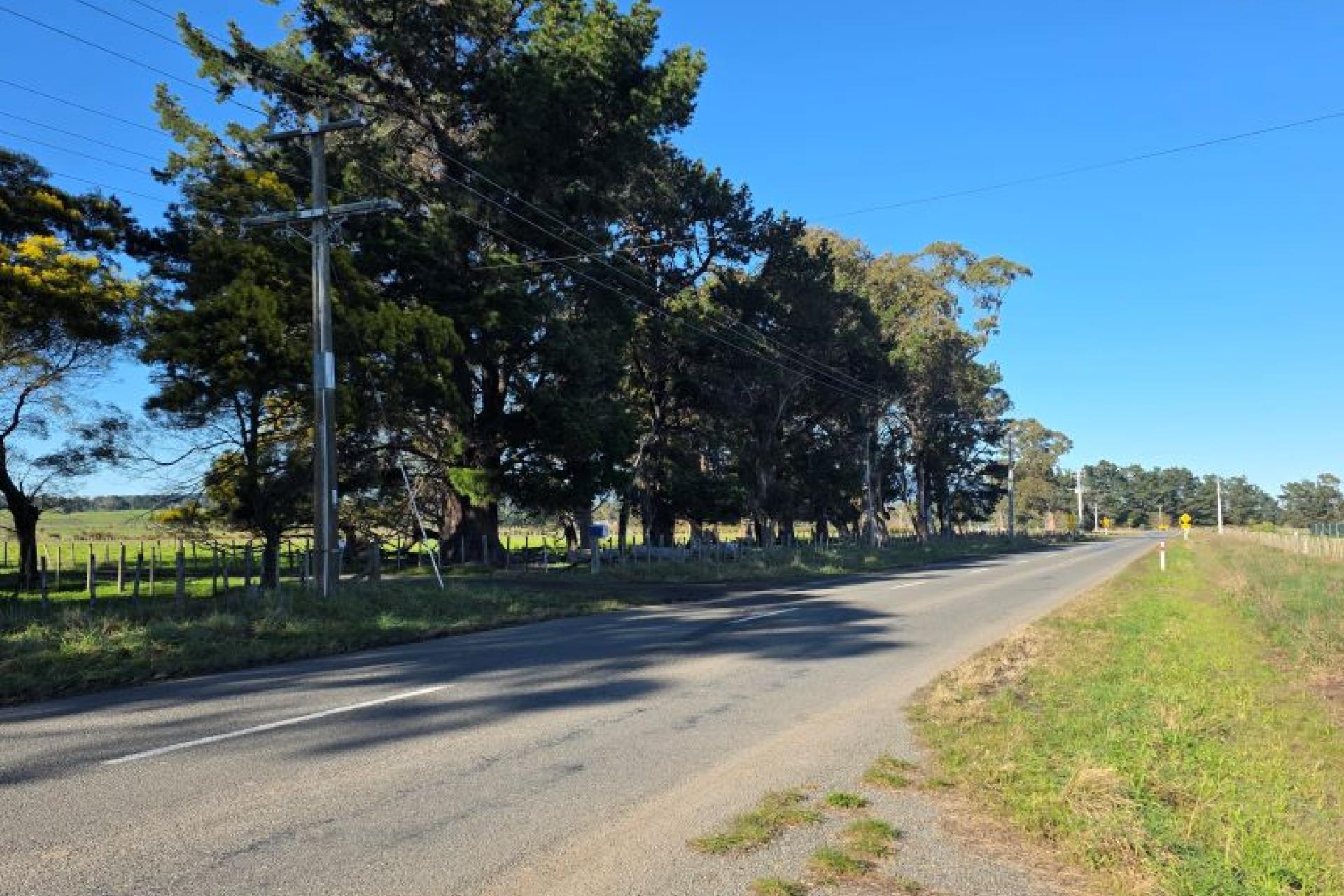Kahutara Road, Martinborough