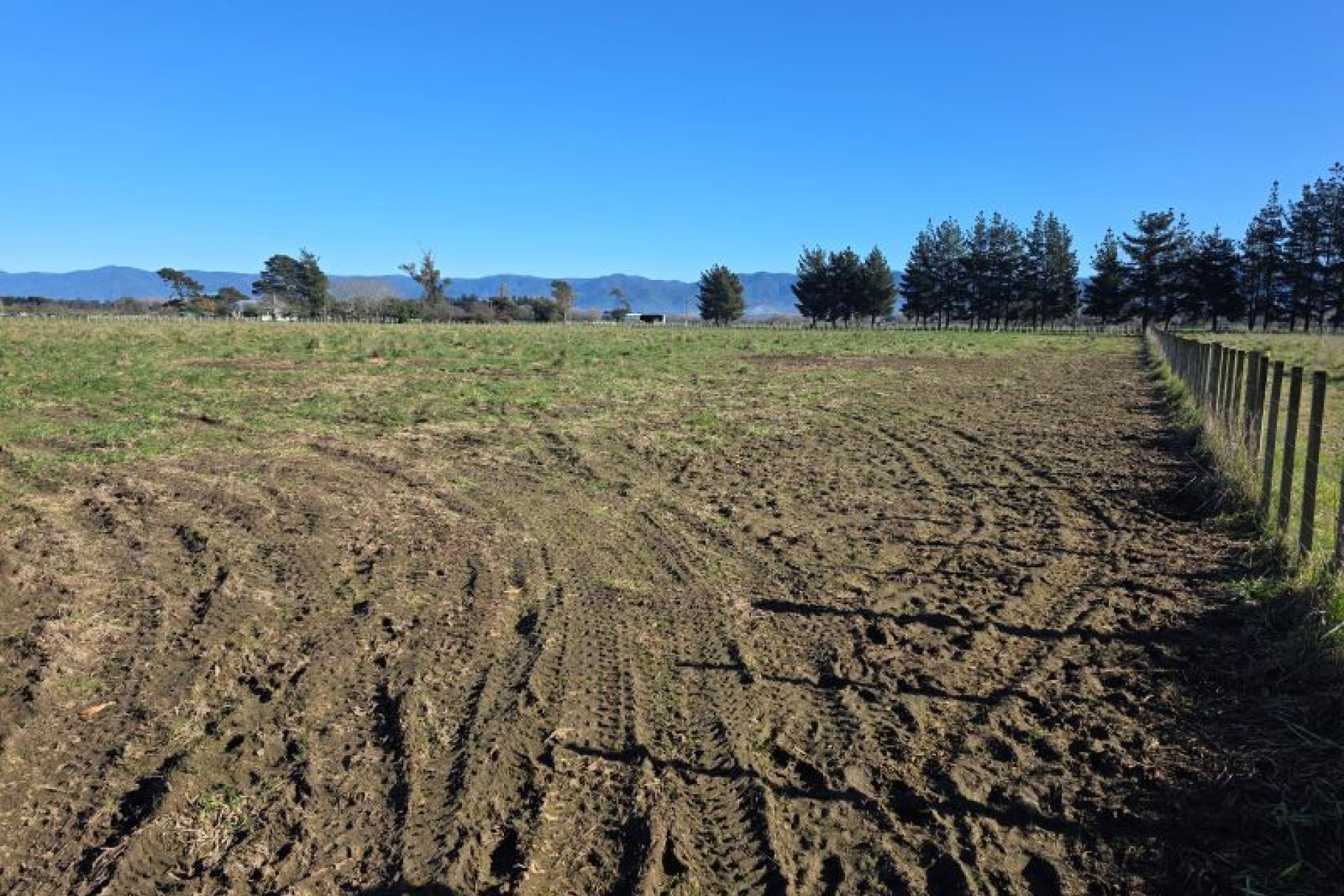 Kahutara Road, Martinborough