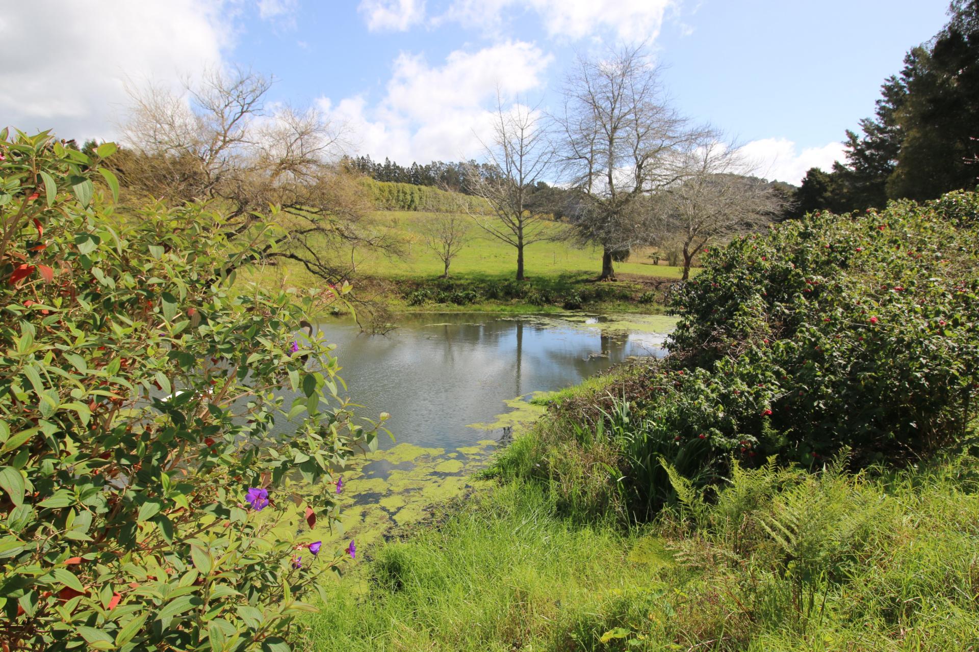 5631 State Highway 12, Kaikohe