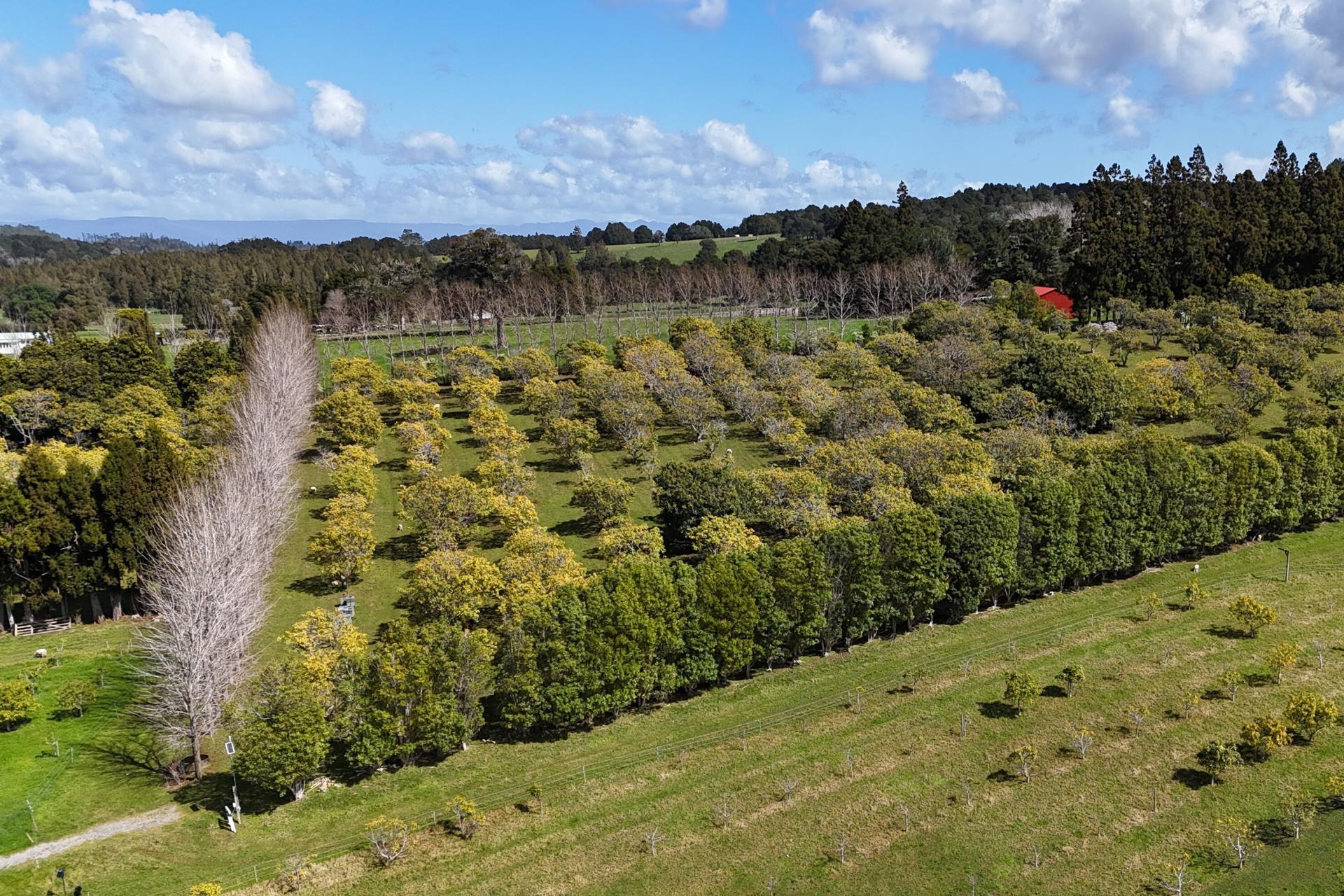 5631 State Highway 12, Kaikohe
