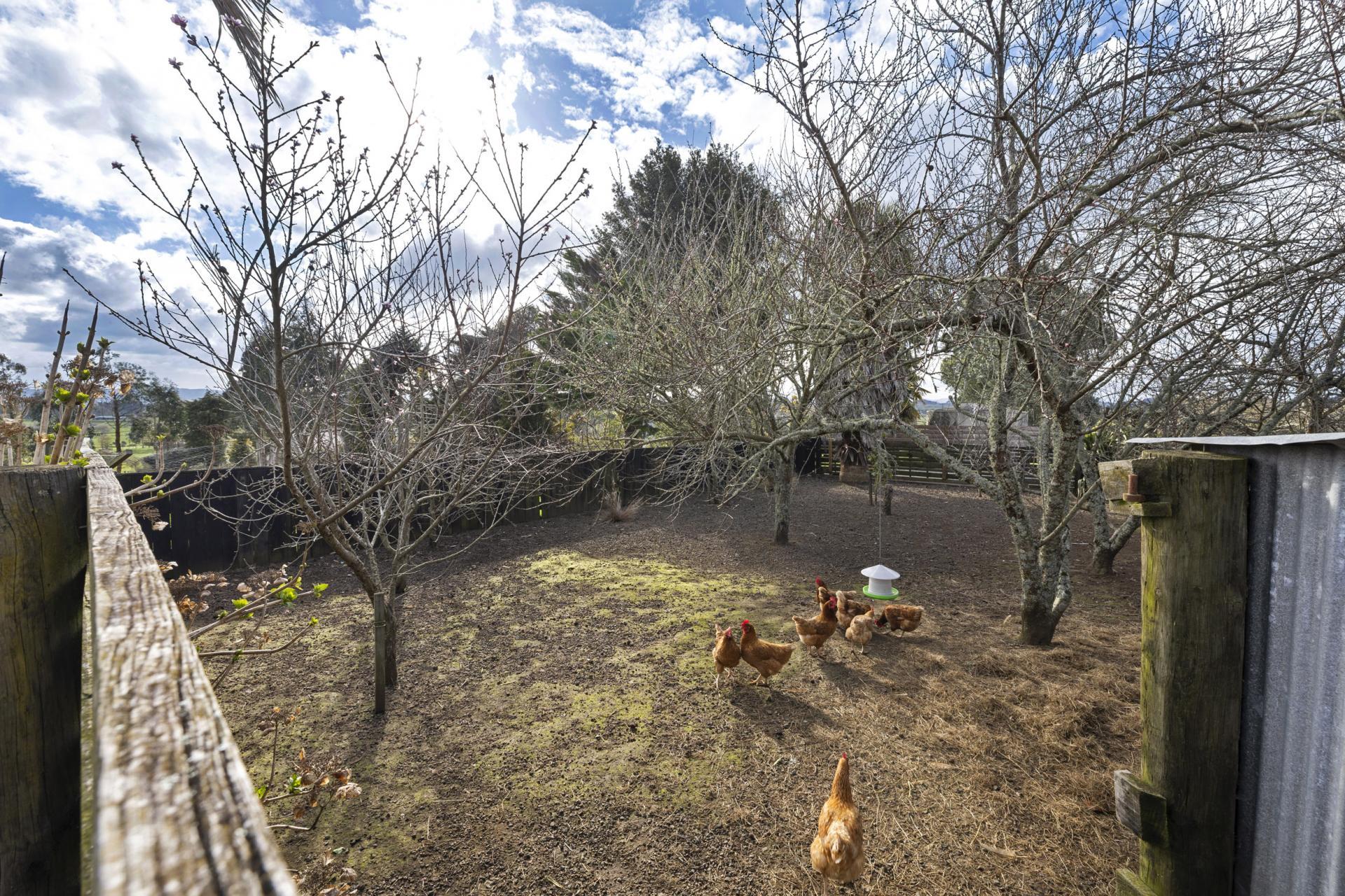 802 Tuhikaramea Road, Ngahinapouri