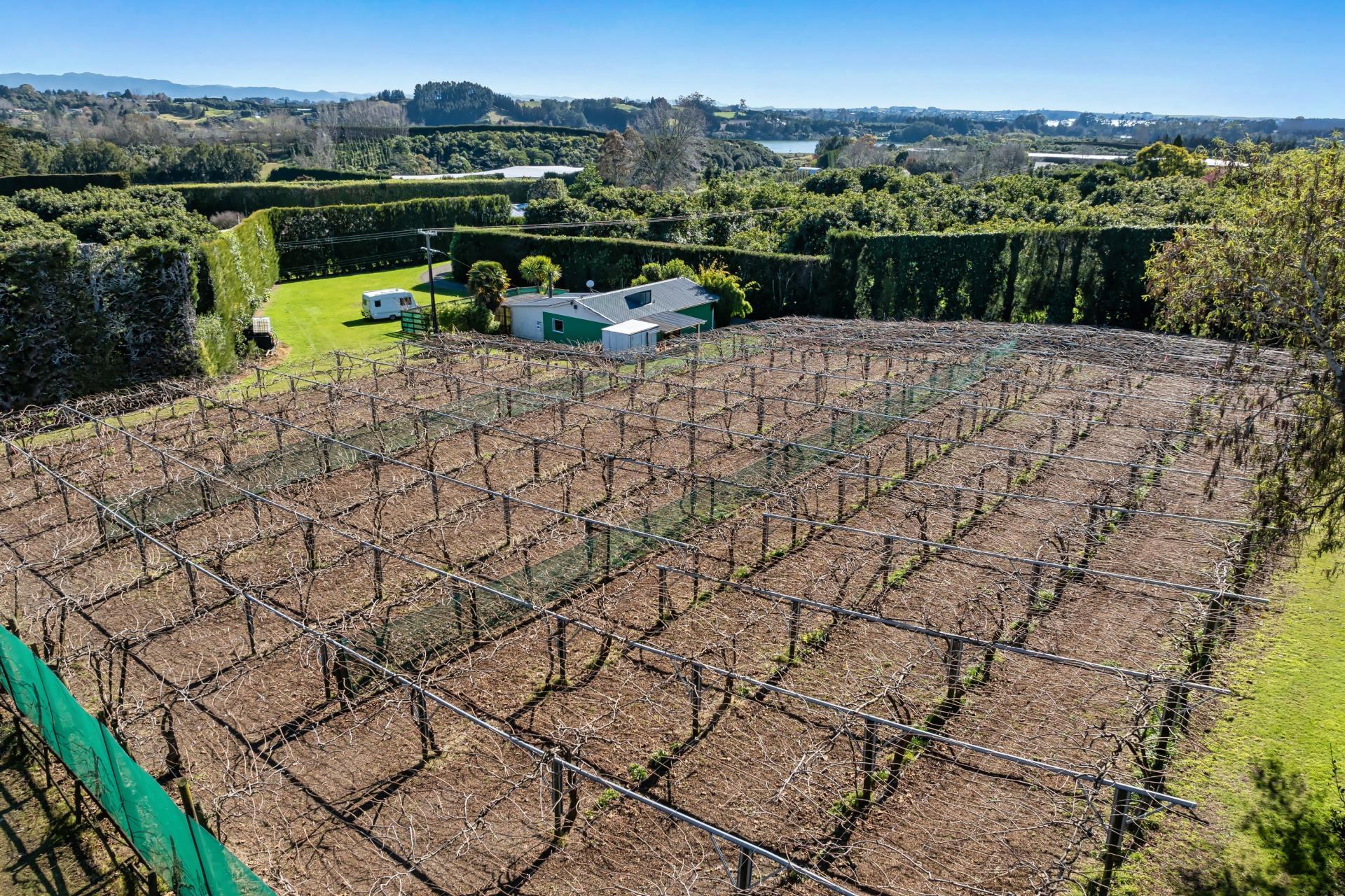 24 Gill Lane, Te Puna