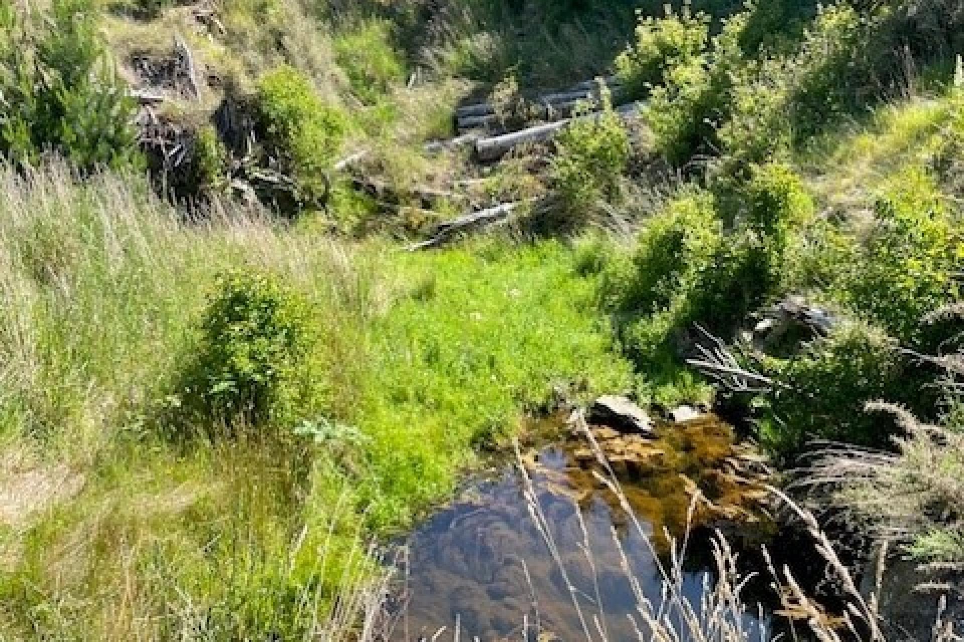 Lot 11 Taieri Peak Road, Palmerston