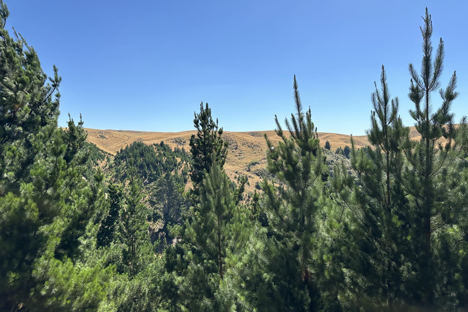 Lot 11 Taieri Peak Road, Palmerston