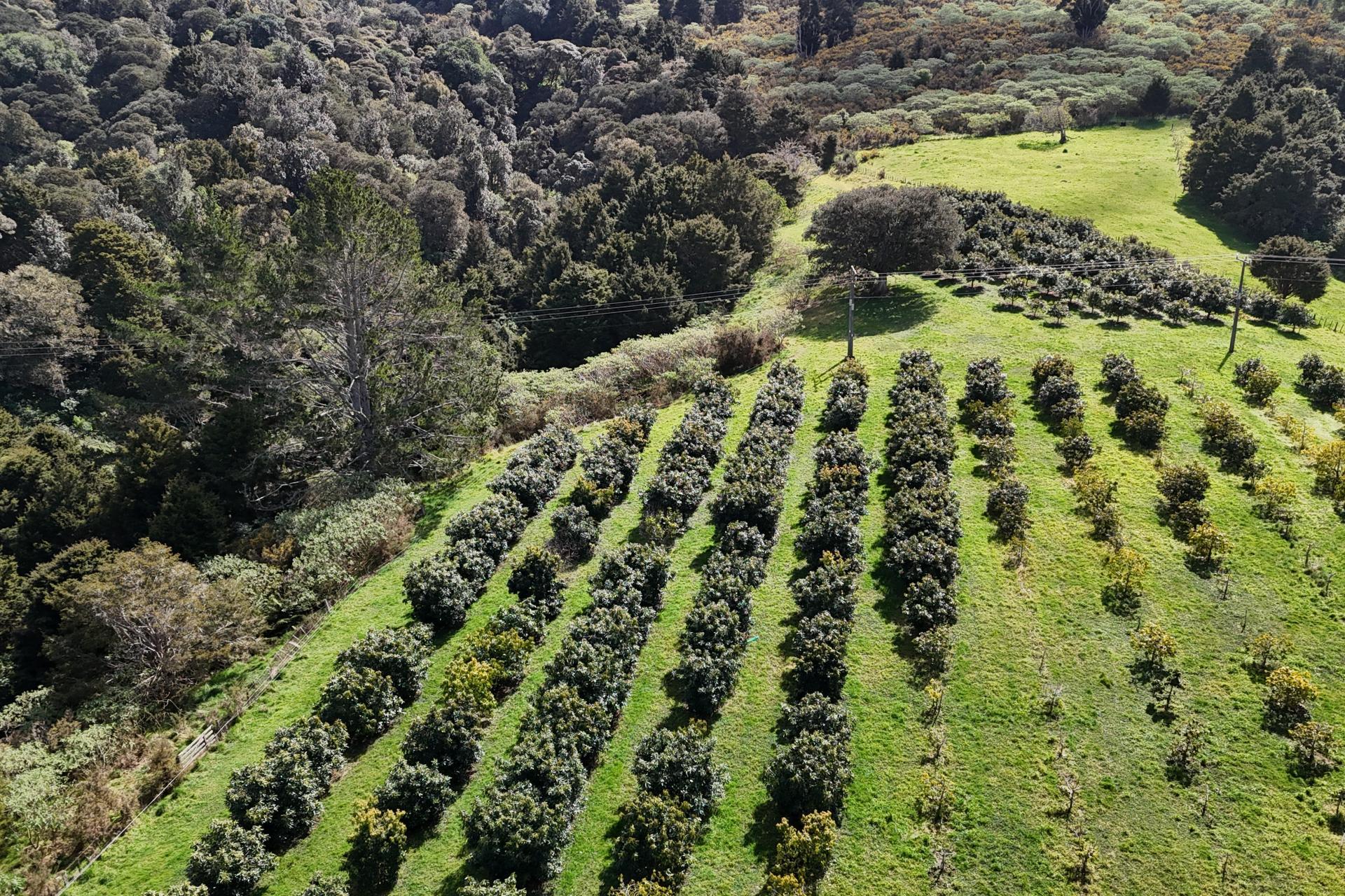 5631 State Highway 12, Kaikohe