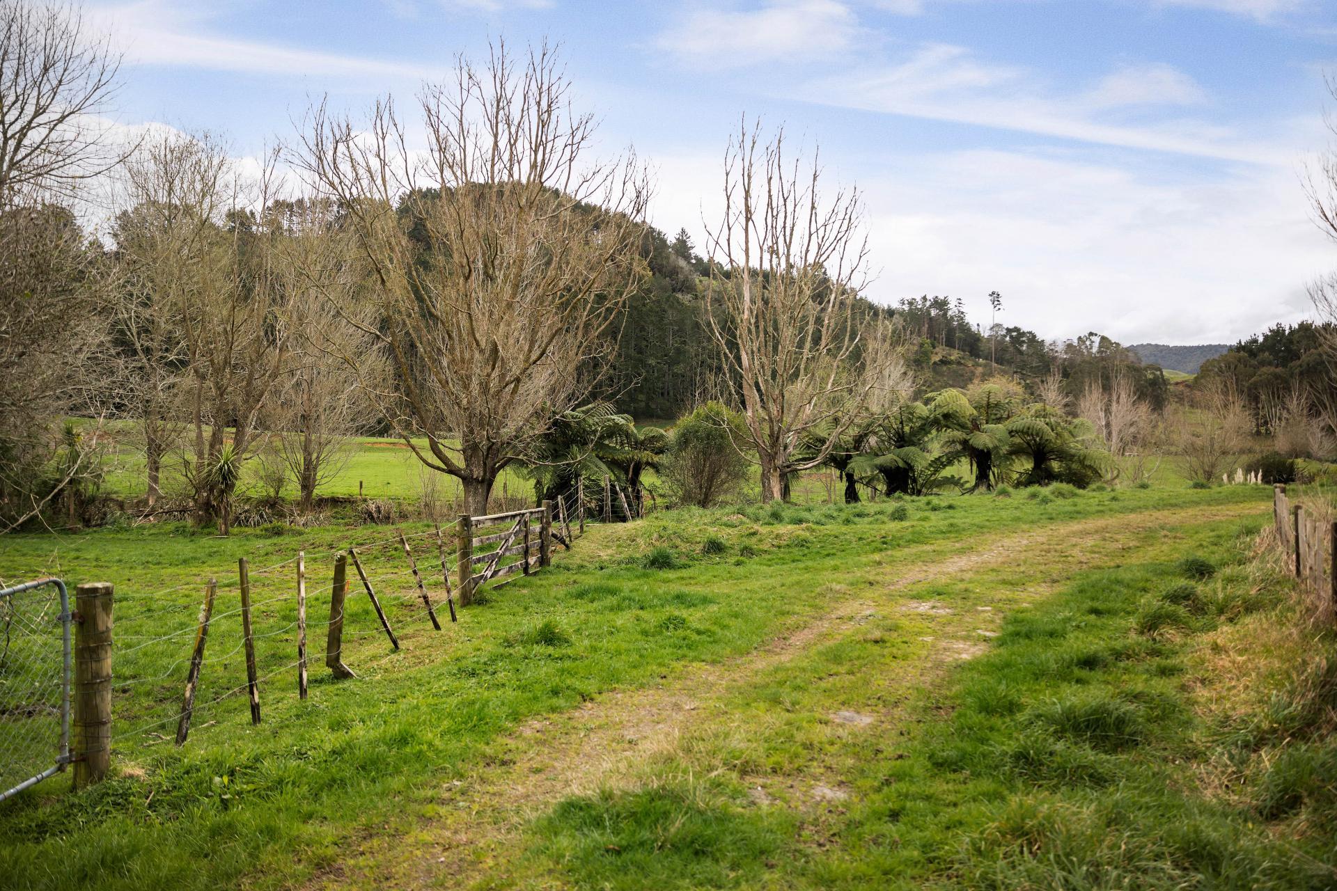 361 Waihi-Whangamata Road, Waihi