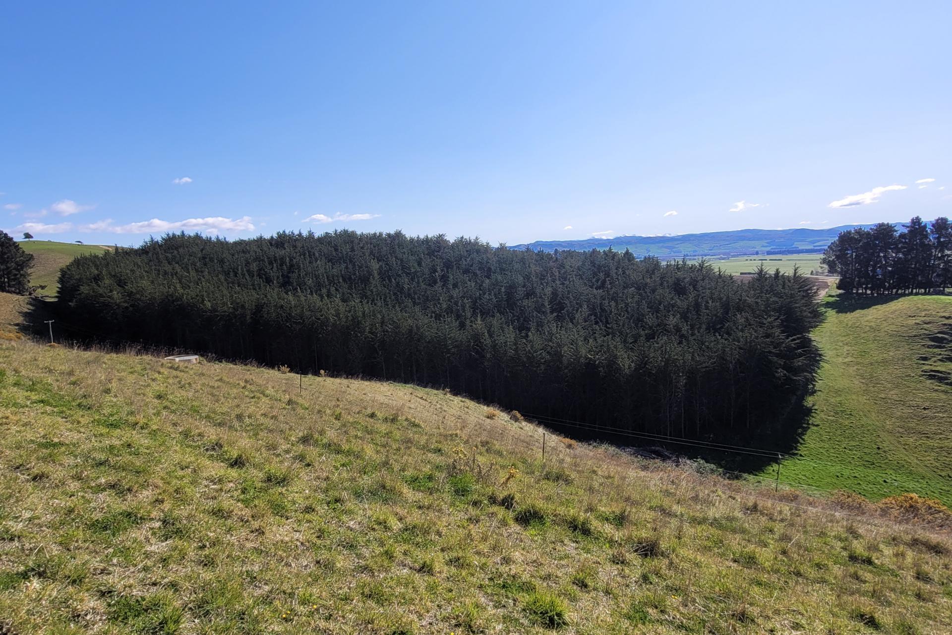 150 Macaulay Road, Awamoko