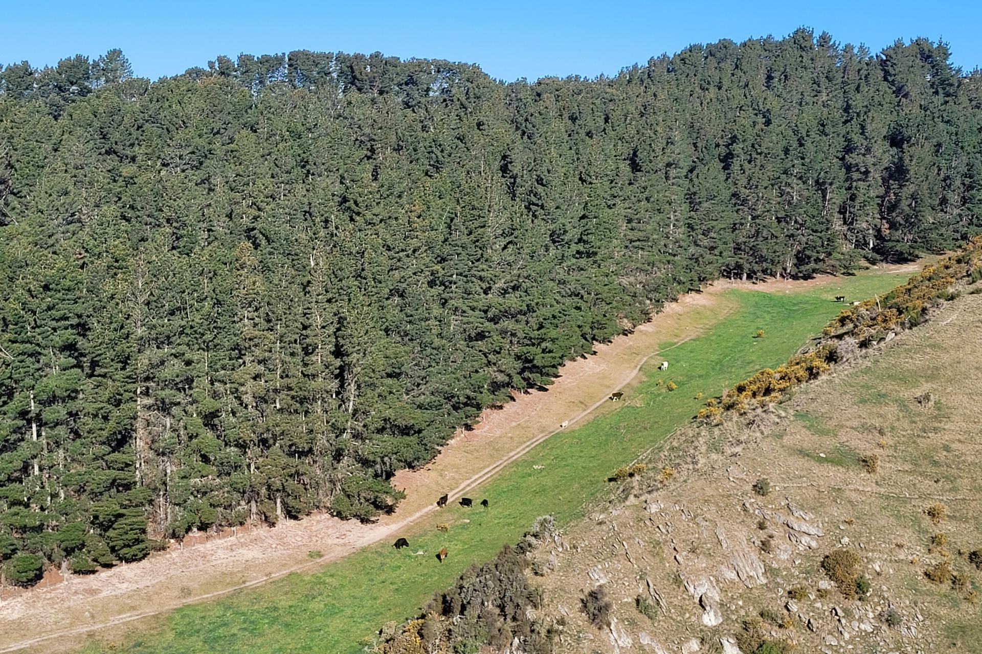 150 Macaulay Road, Awamoko