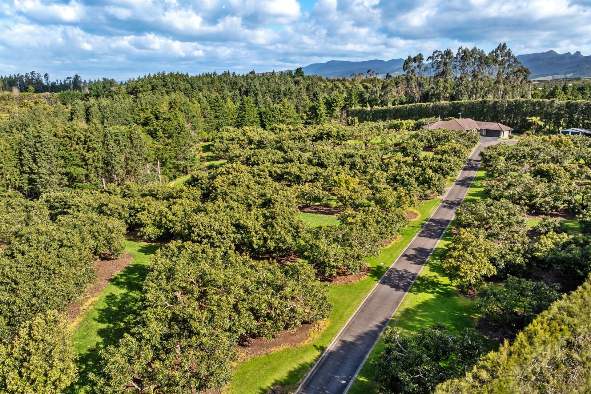 237B Busby Road, Katikati