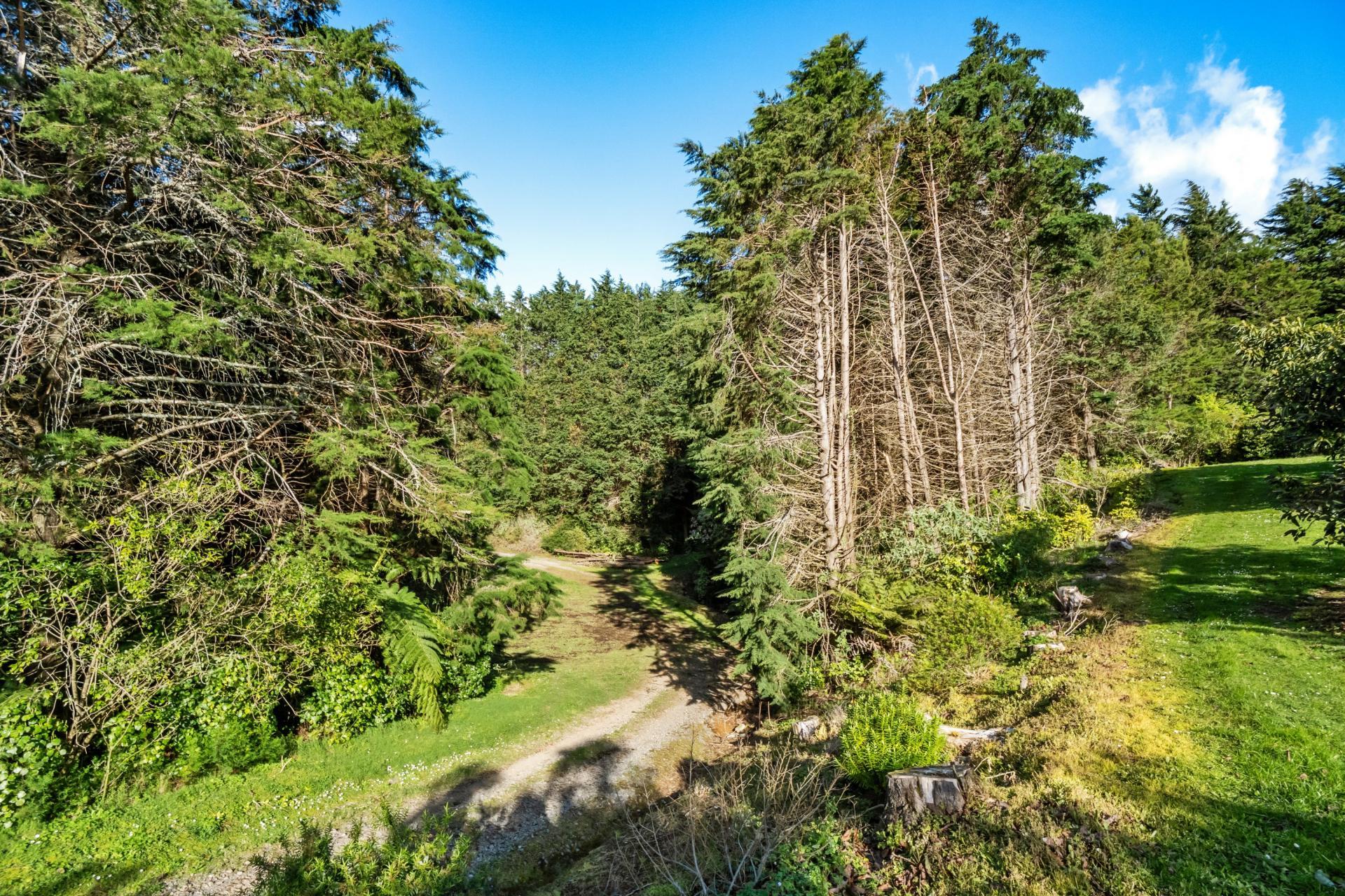 237B Busby Road, Katikati