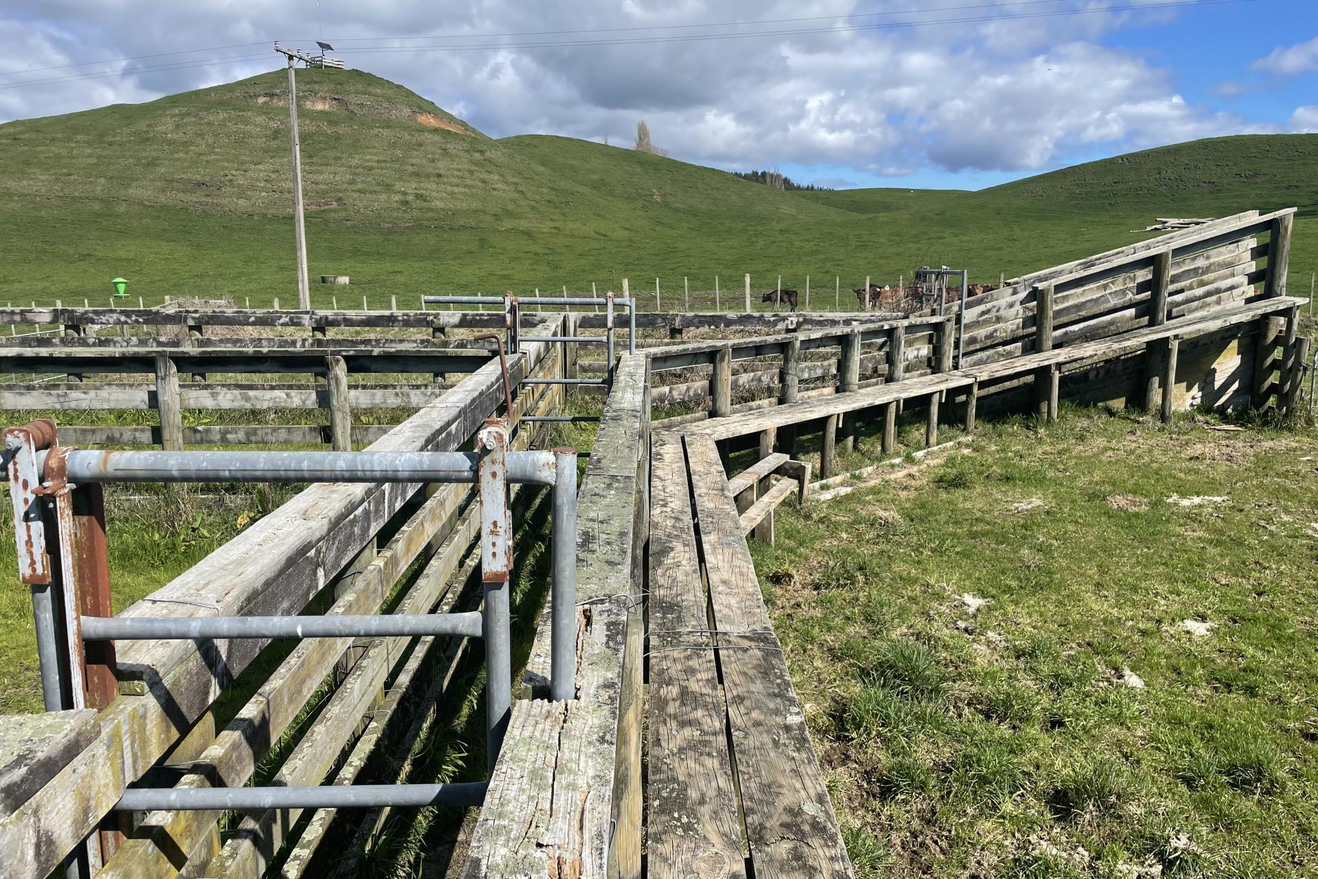 139 Sandel Road, Whakamaru
