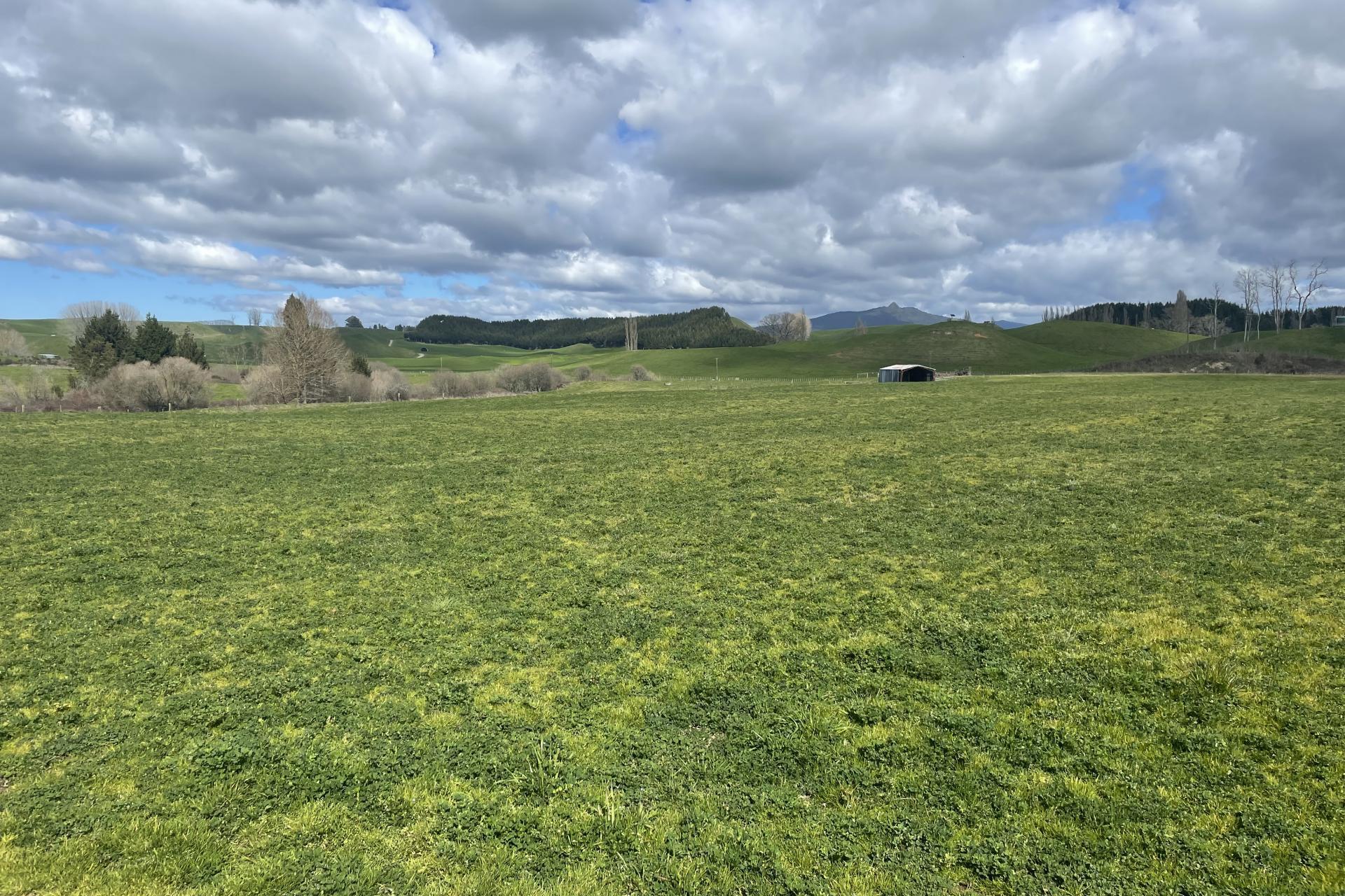 139 Sandel Road, Whakamaru