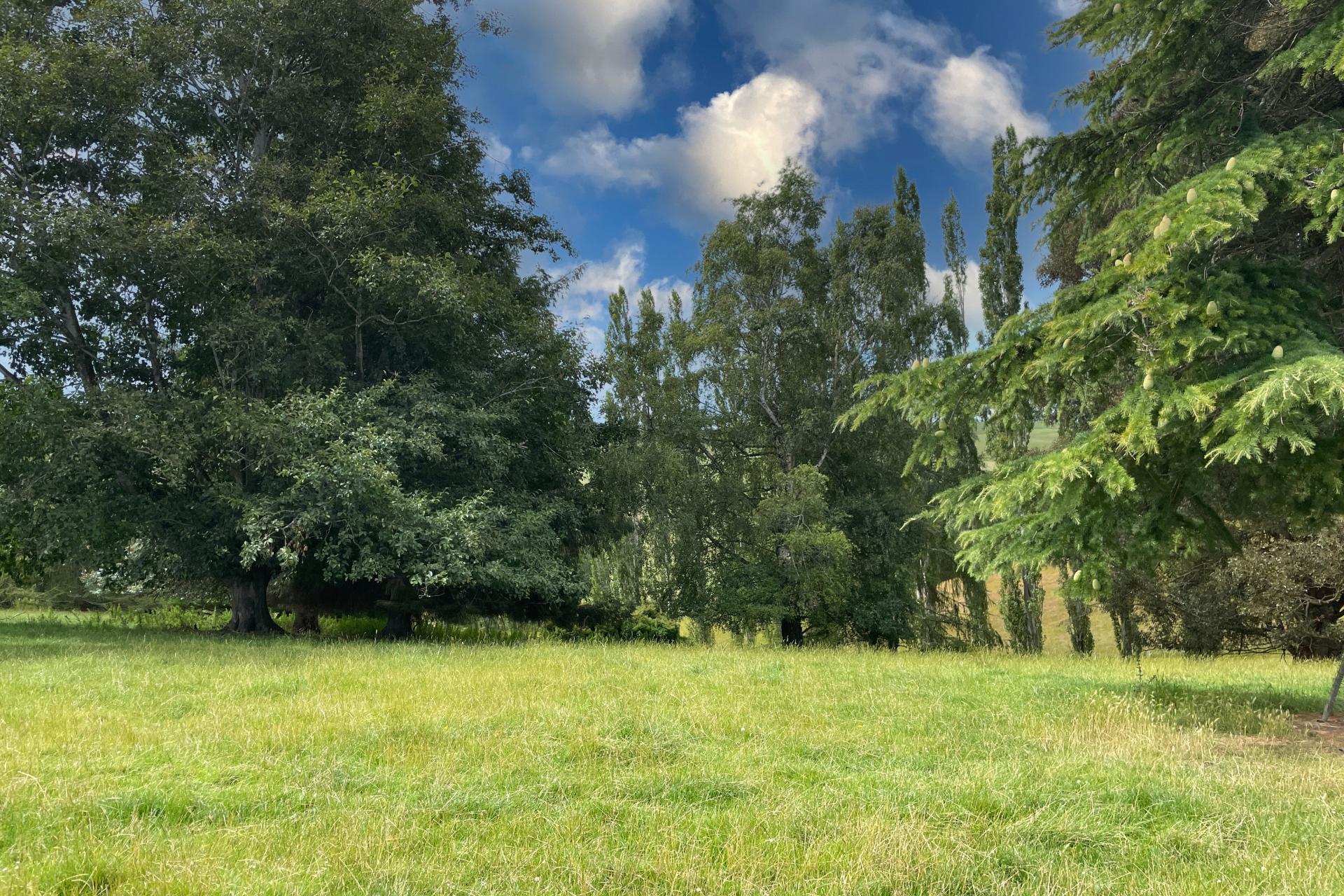 446 Skinner Road, Puketi