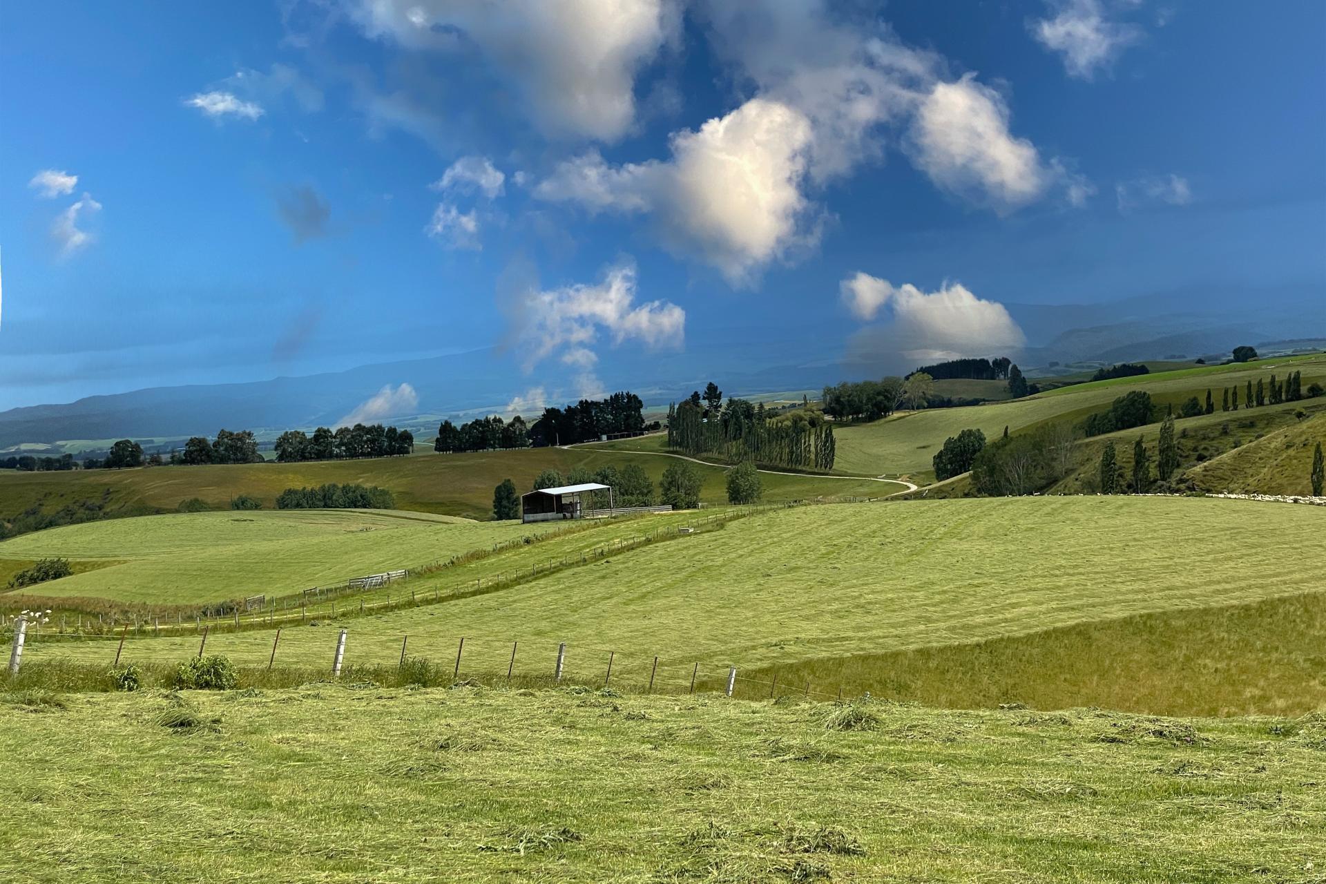 446 Skinner Road, Puketi