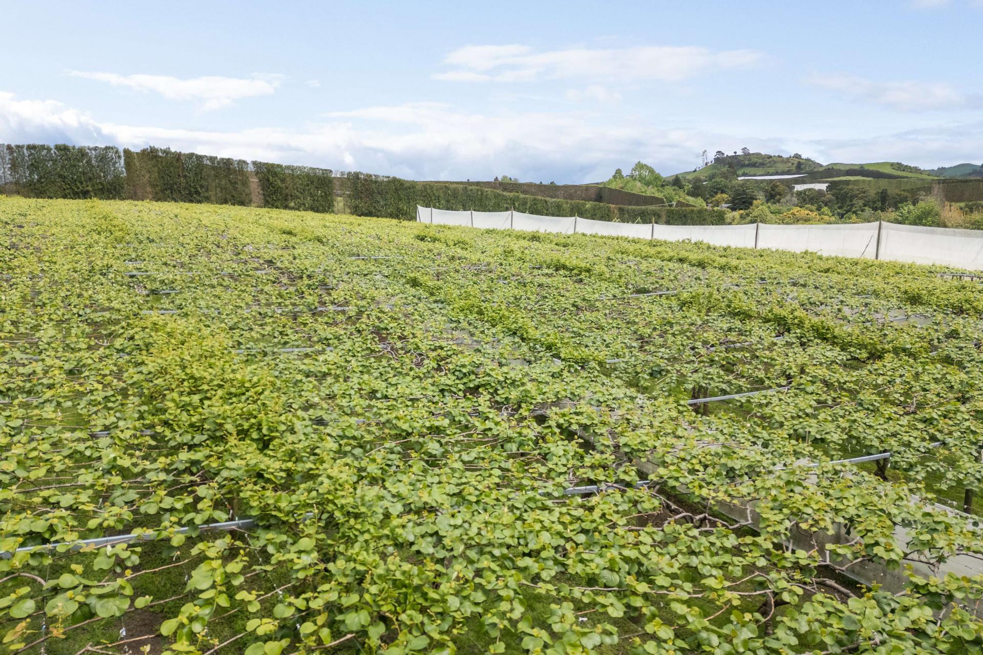 121A No 4 Road, Te Puke