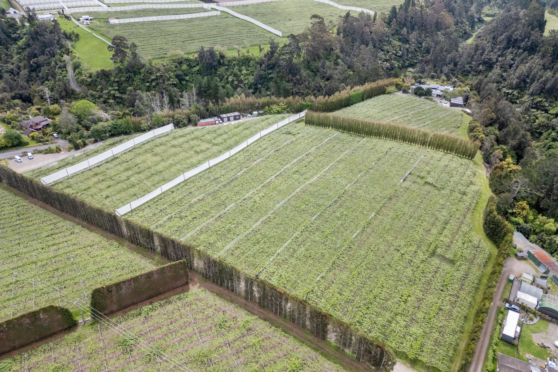 121A No 4 Road, Te Puke