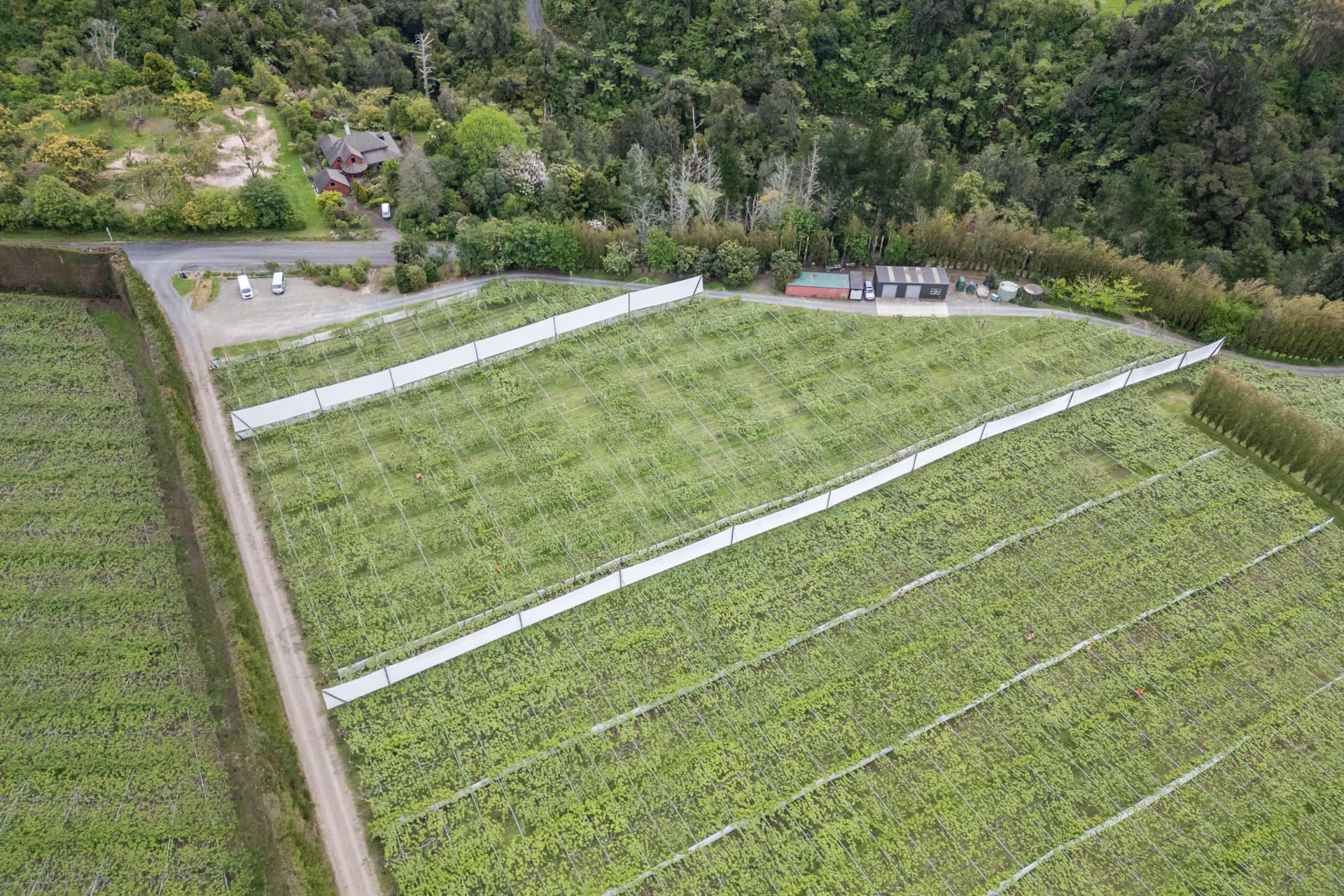 121A No 4 Road, Te Puke