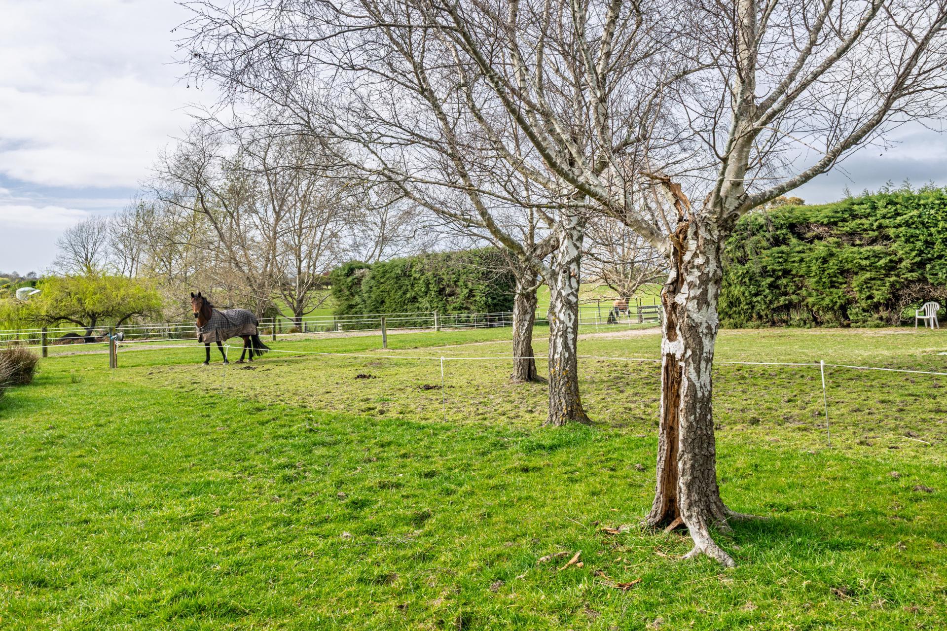 829 Landsborough Road, Claremont