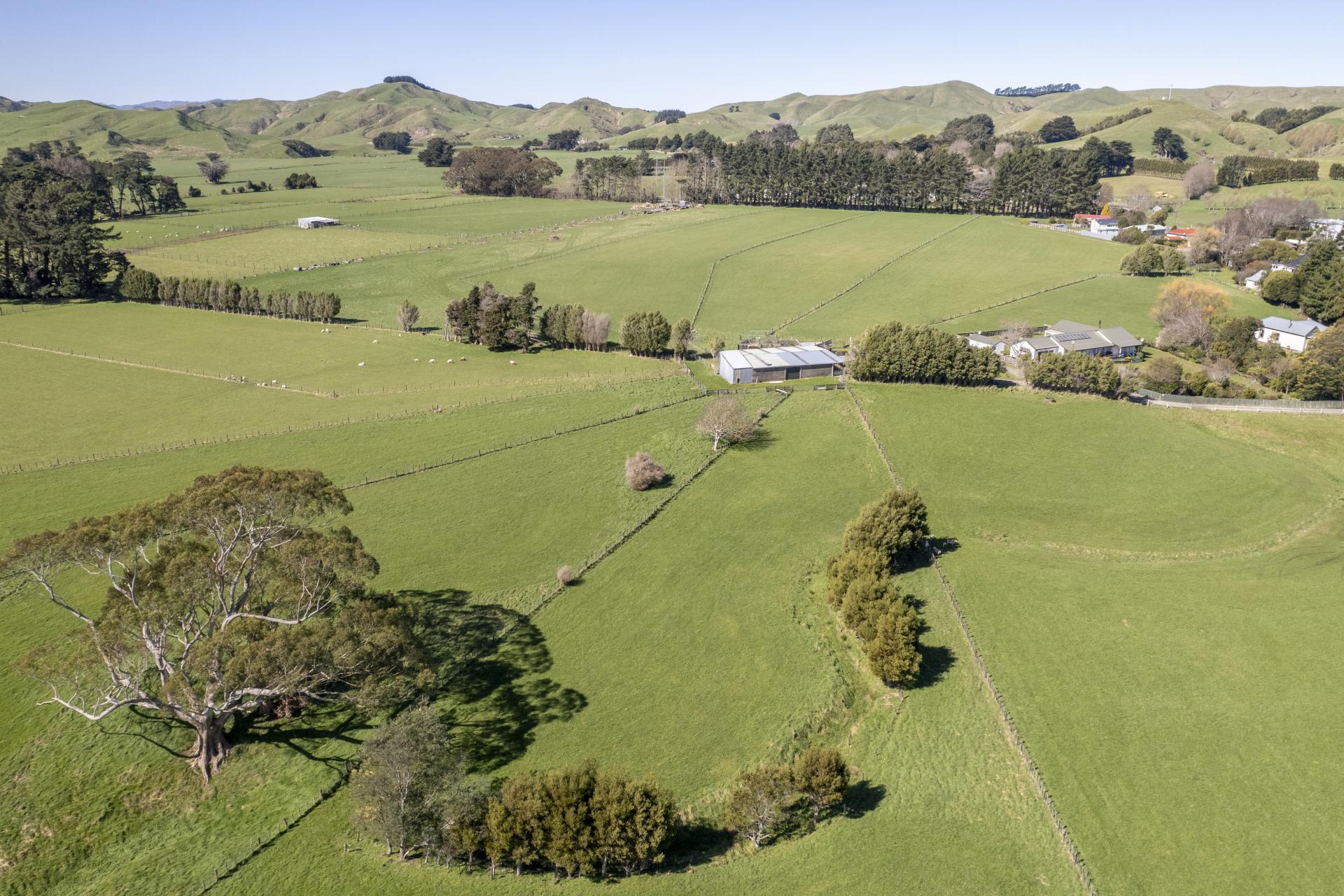 23 Haswell Street, Eketahuna