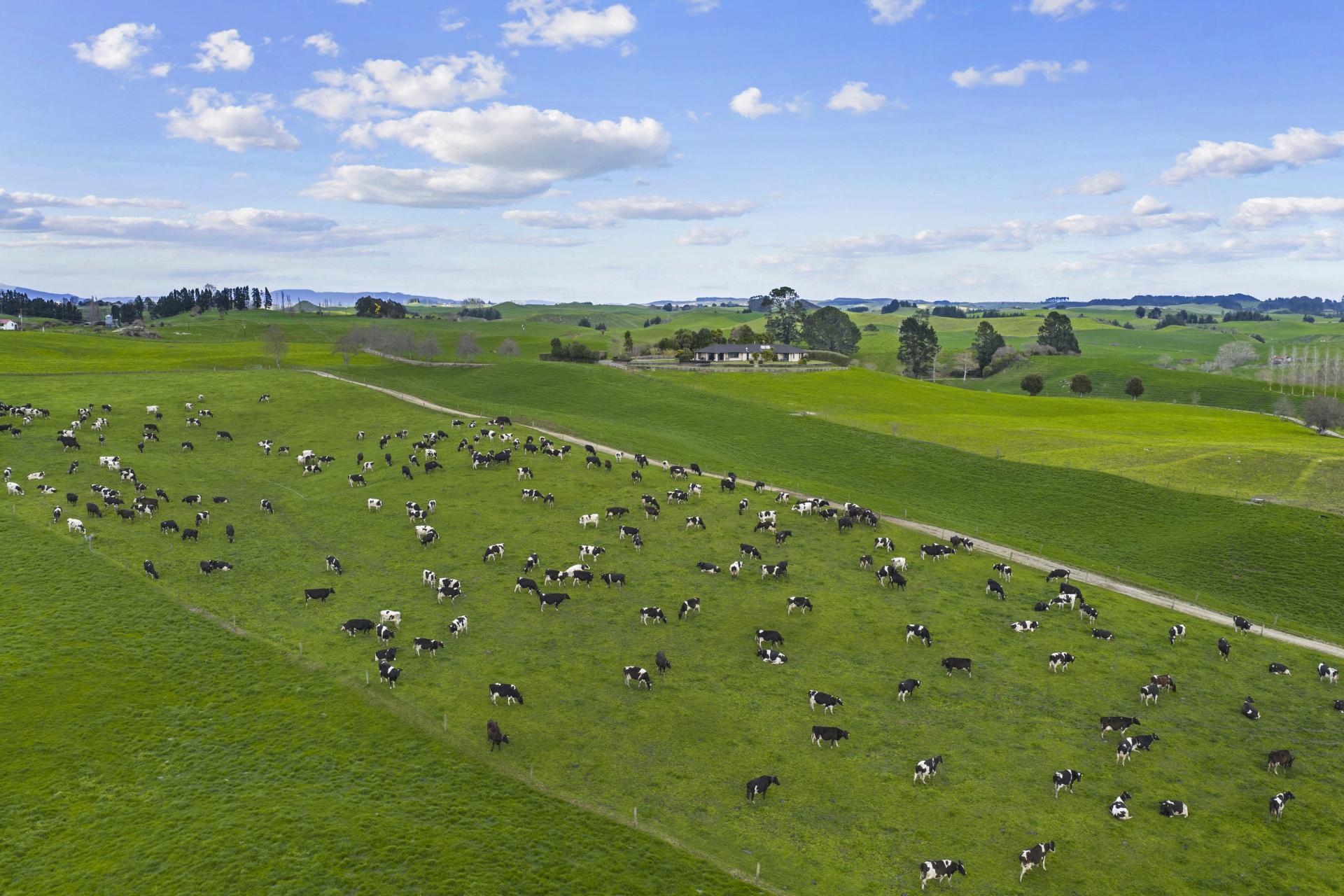 2085A-B Old Taupo Road, Wiltsdown