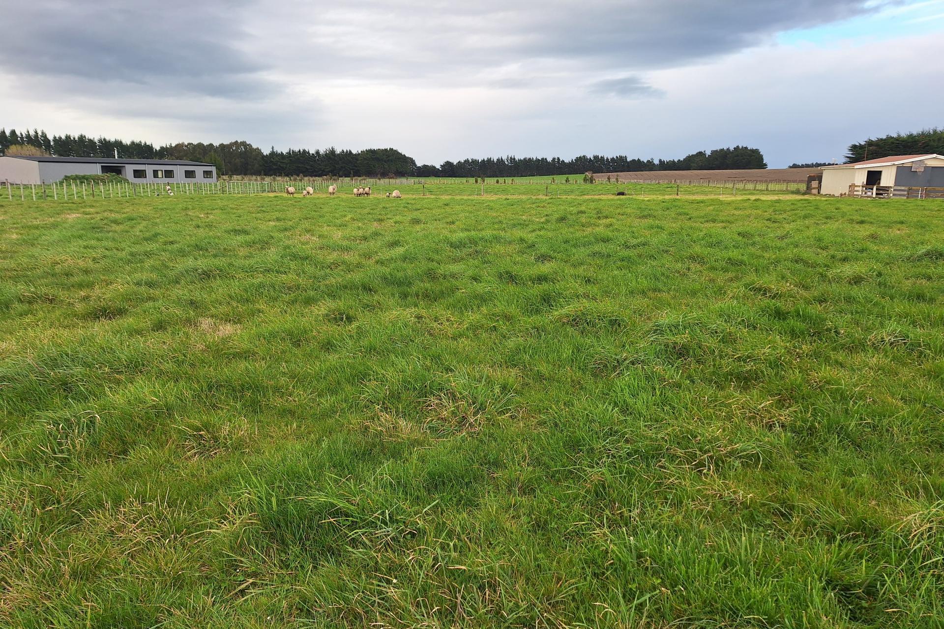 Lot 1, 49 Laws Road, Dannevirke