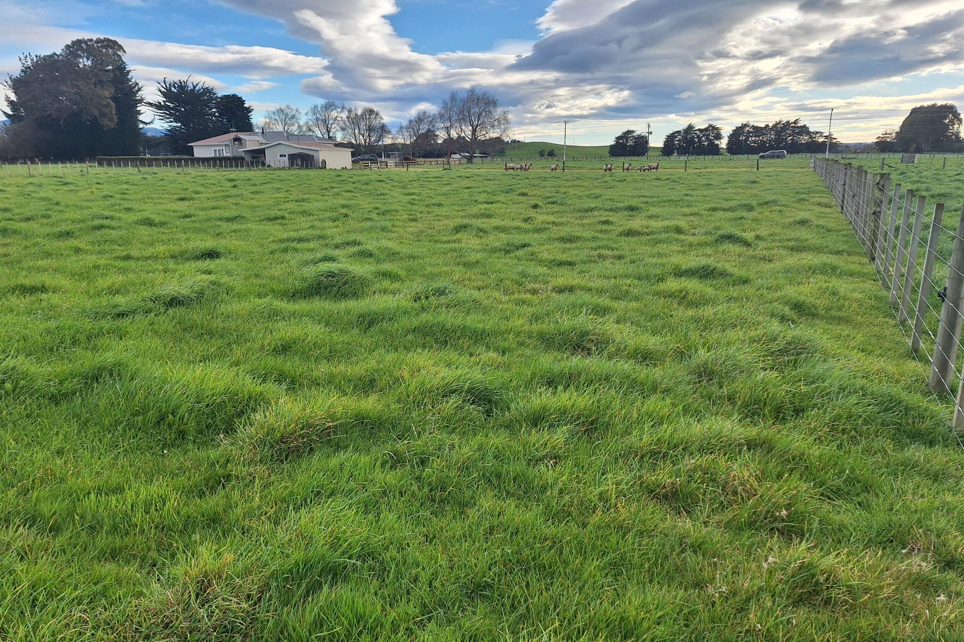 Lot 1, 49 Laws Road, Dannevirke