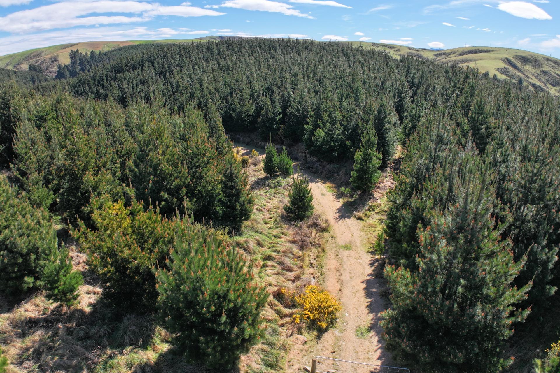 Lot 11 Taieri Peak Road, Palmerston