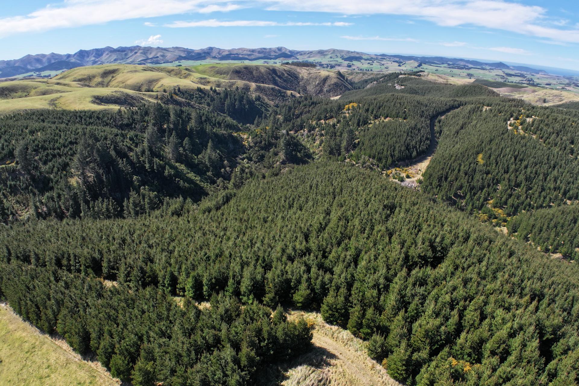 Lot 11 Taieri Peak Road, Palmerston