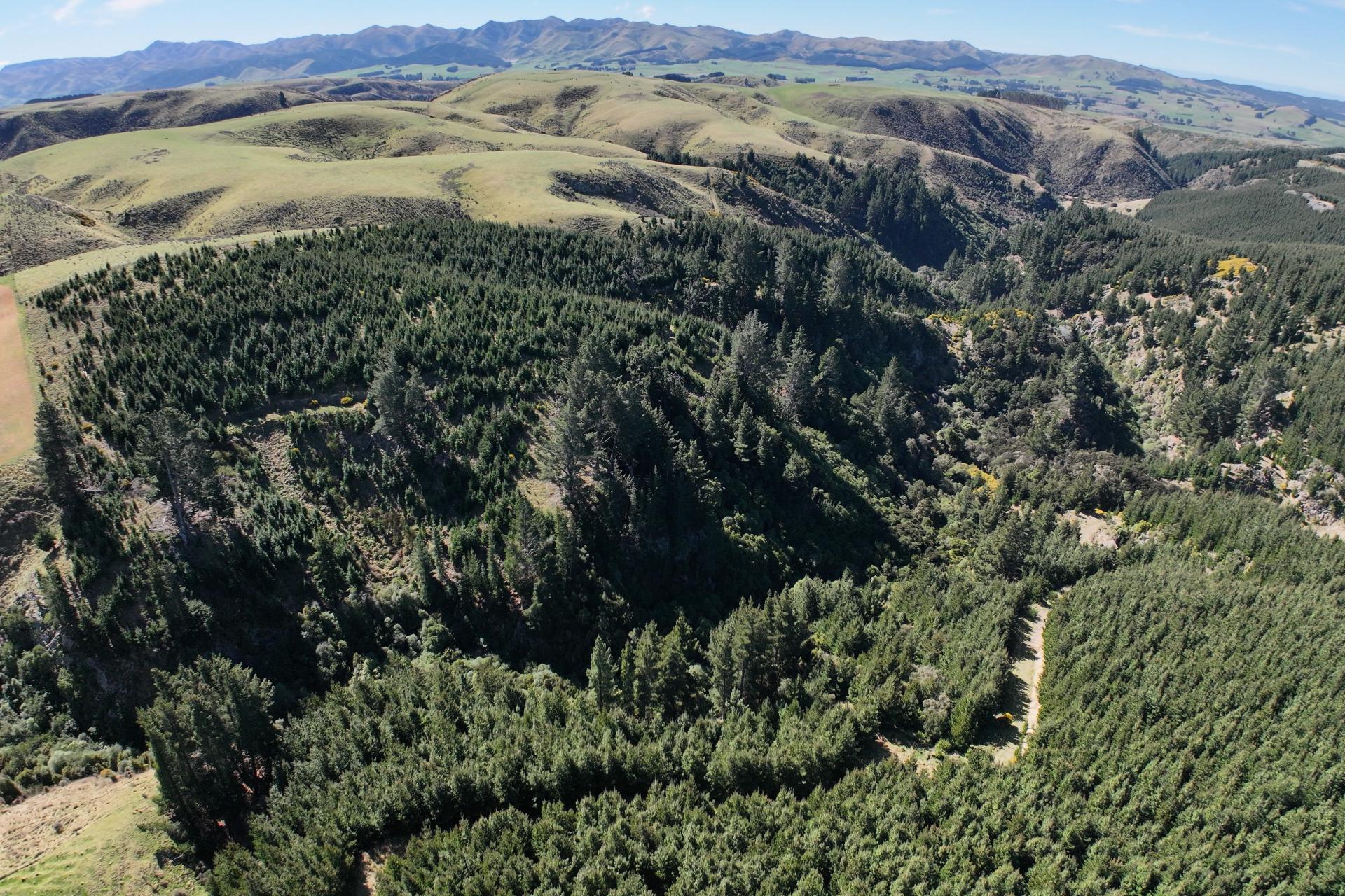 Lot 11 Taieri Peak Road, Palmerston