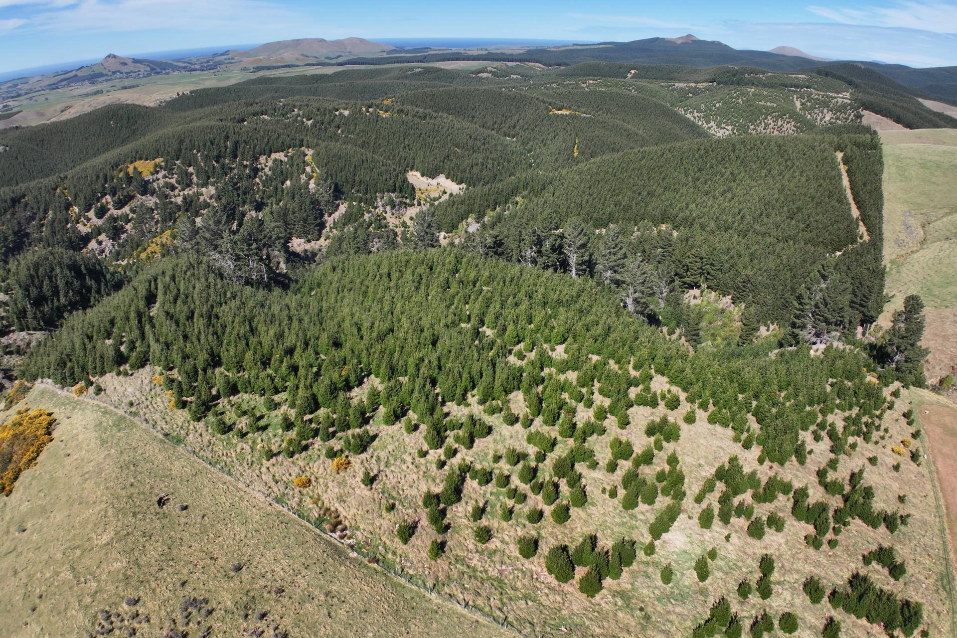 Lot 11 Taieri Peak Road, Palmerston