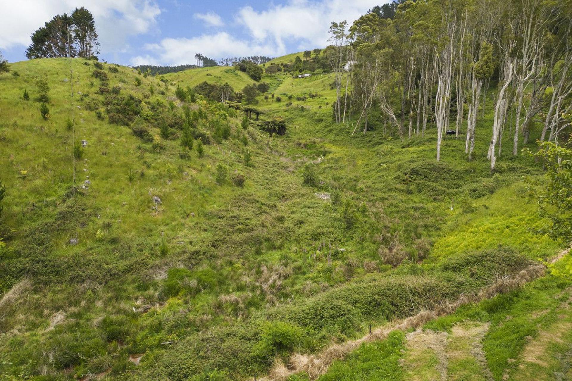 127A Otonga Valley Road, Raglan